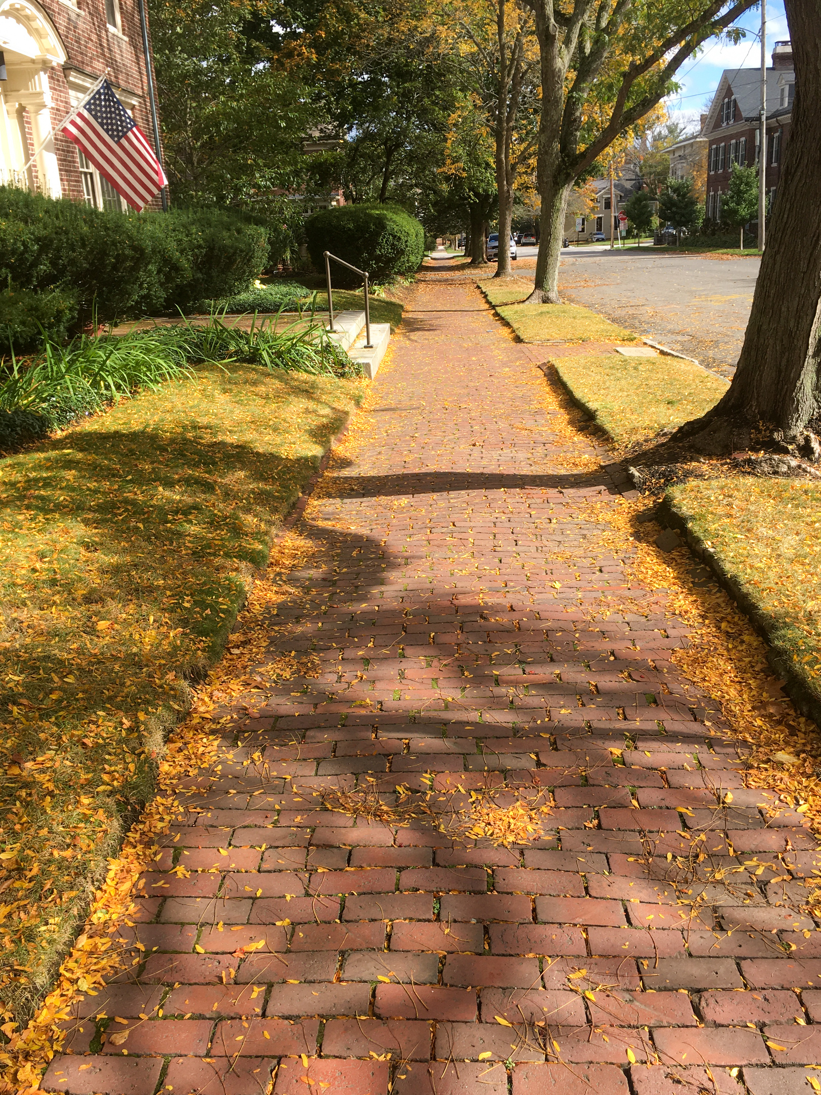 brick walkway with yellow leaves