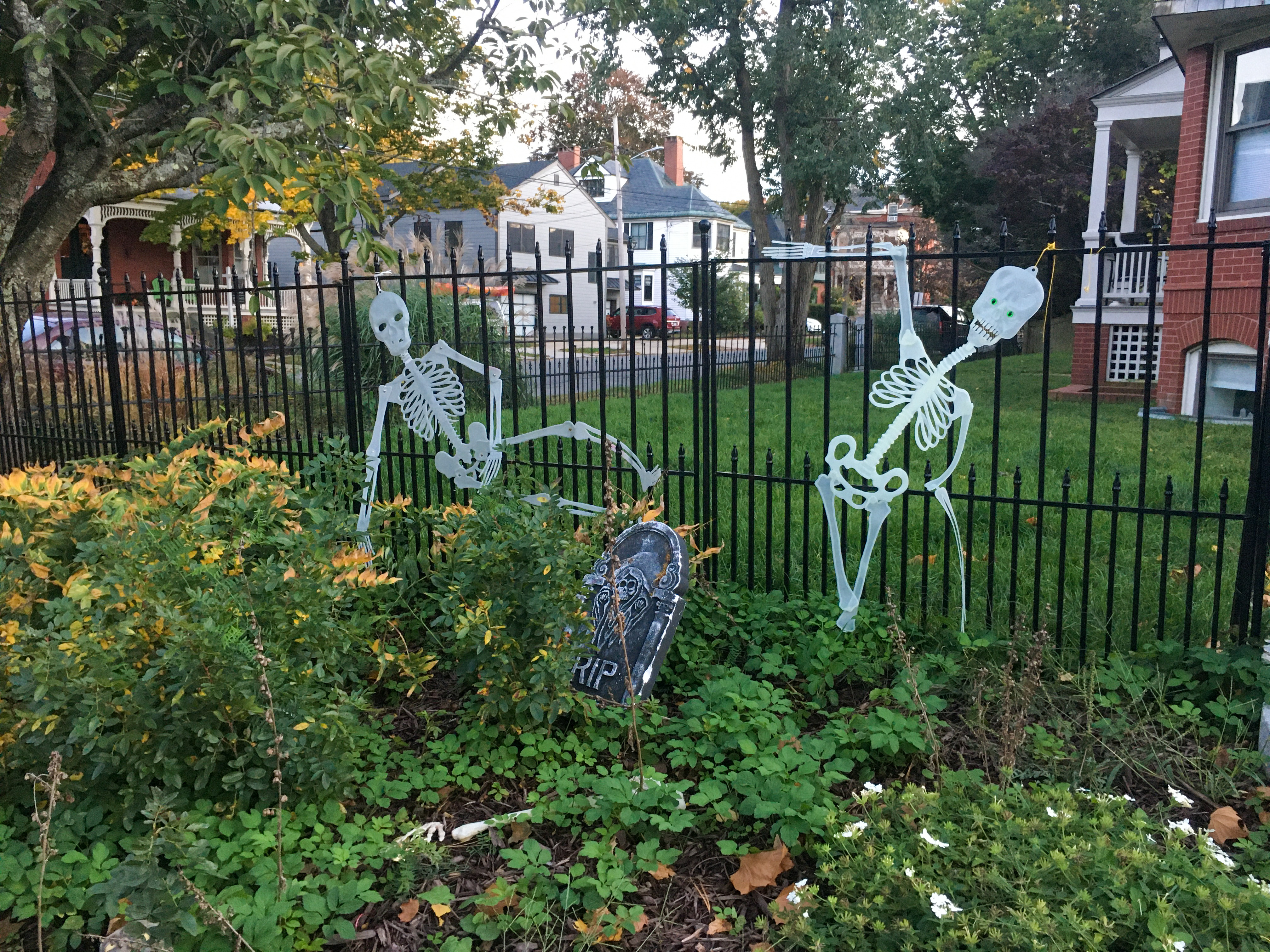 halloween decorations of two cut out skeletons