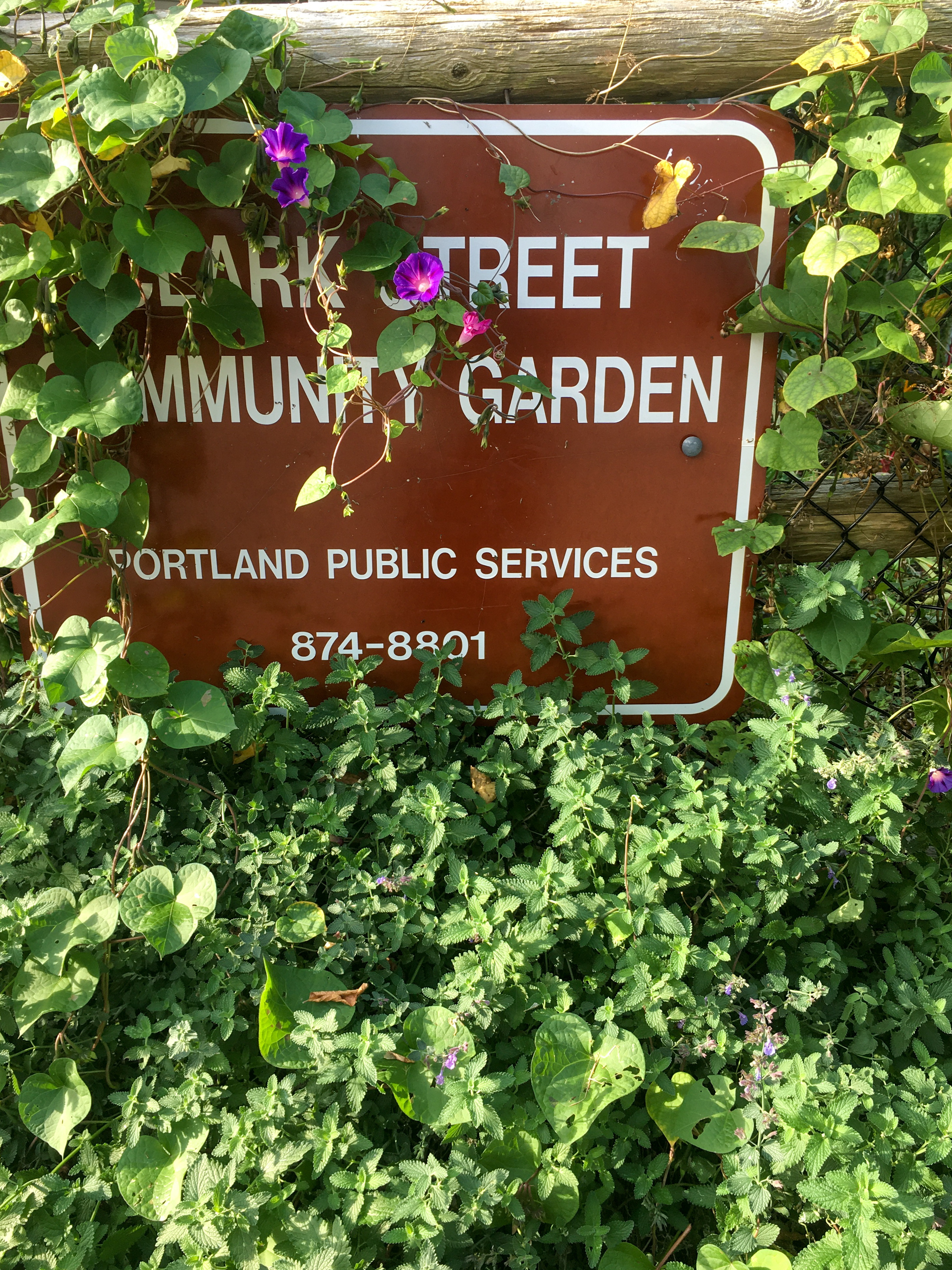 Sign for Clark Street Community Garden with plants growing over it