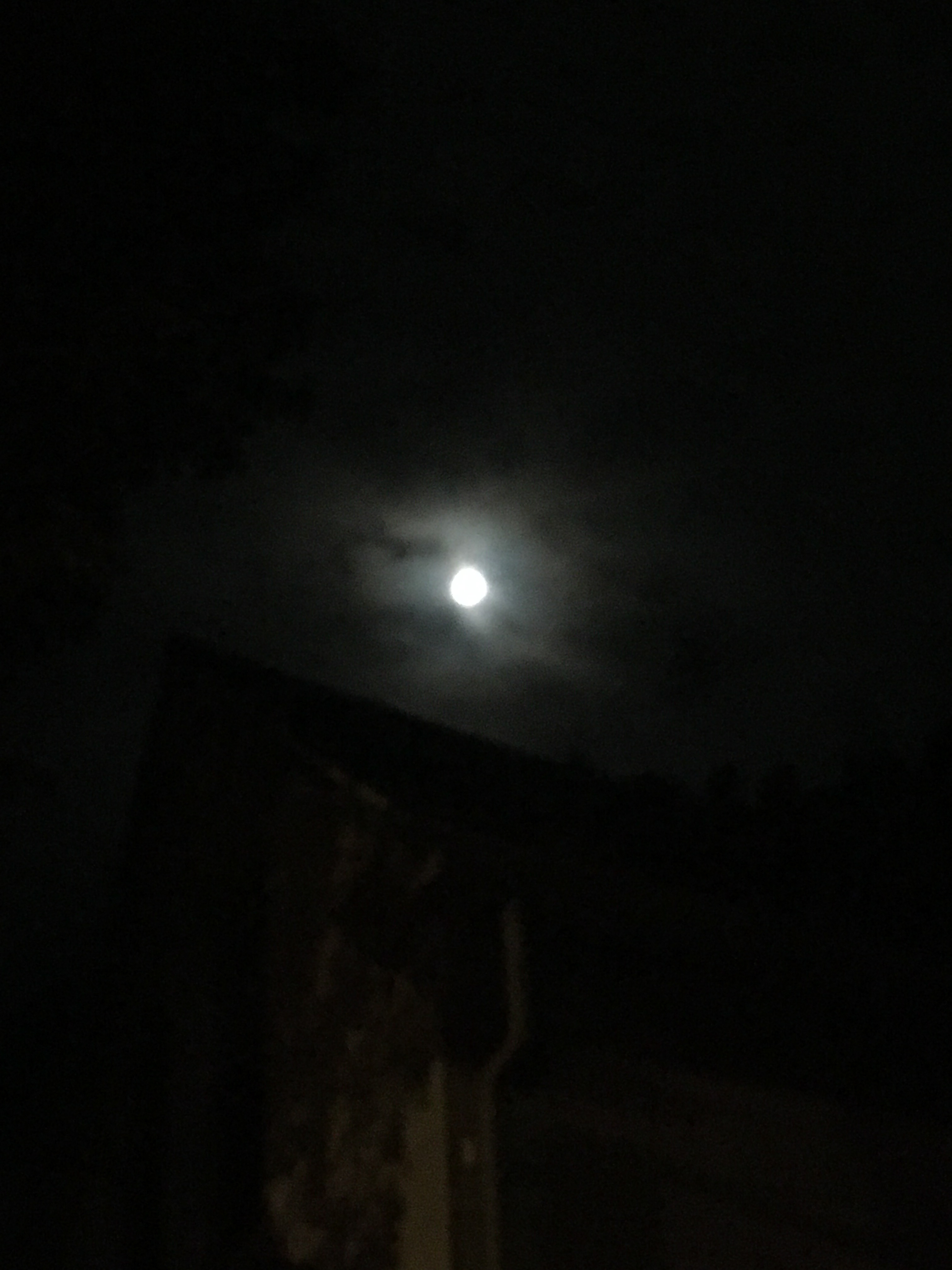 moon with clouds