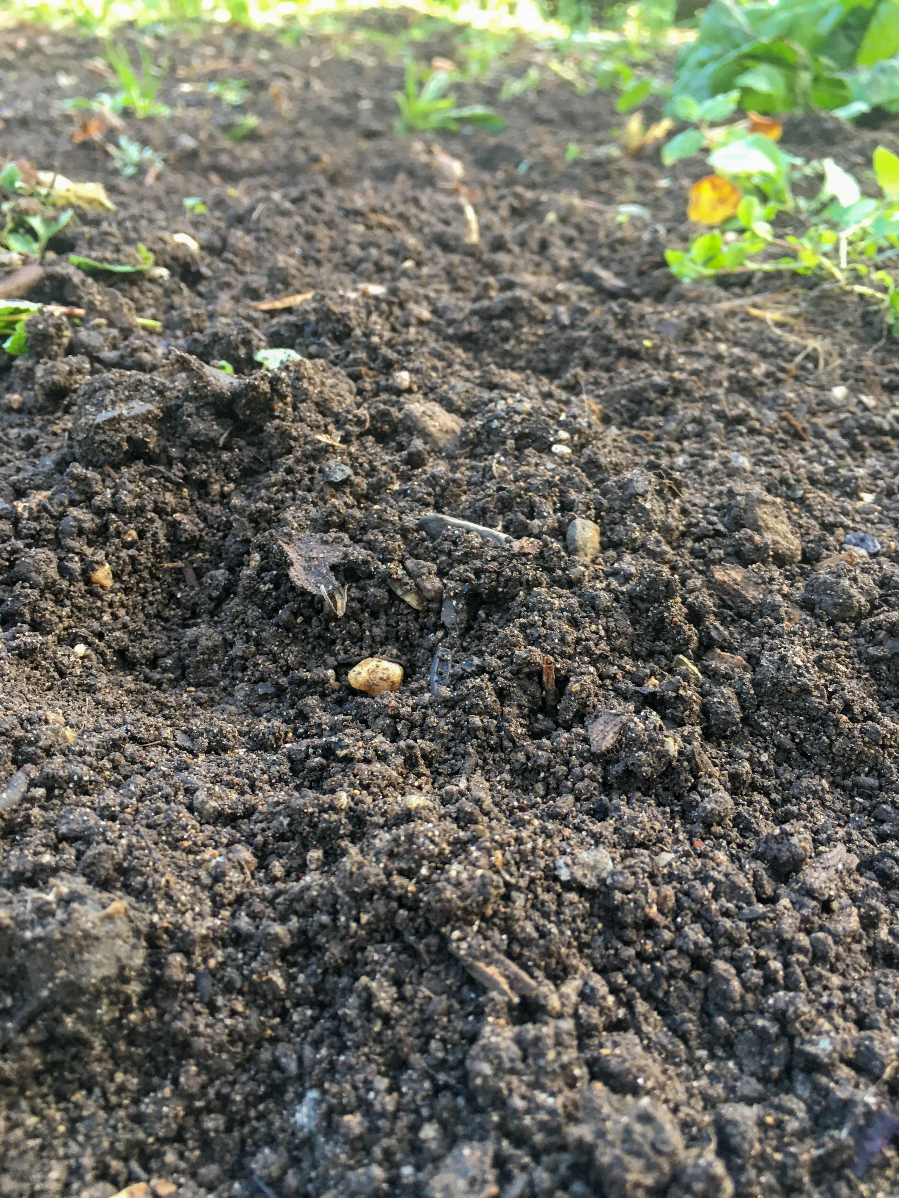 good quality garden soil