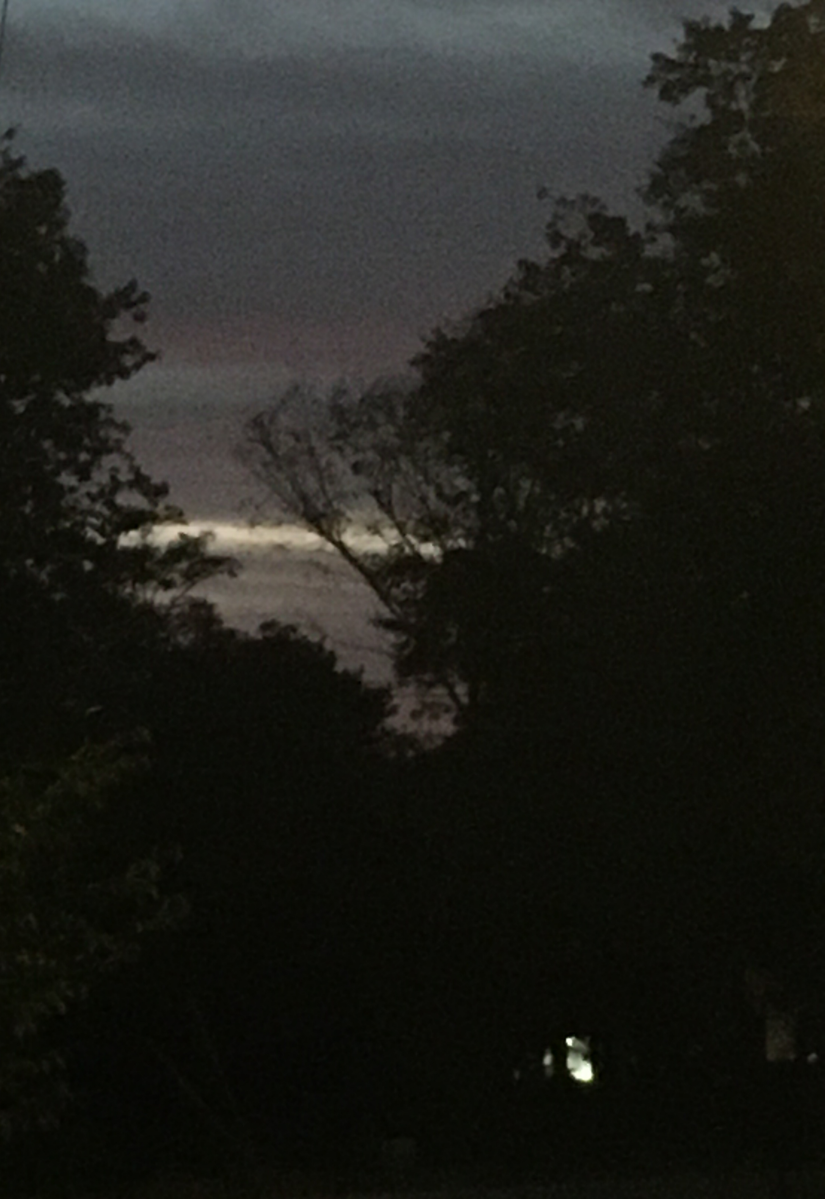 gray sunset 