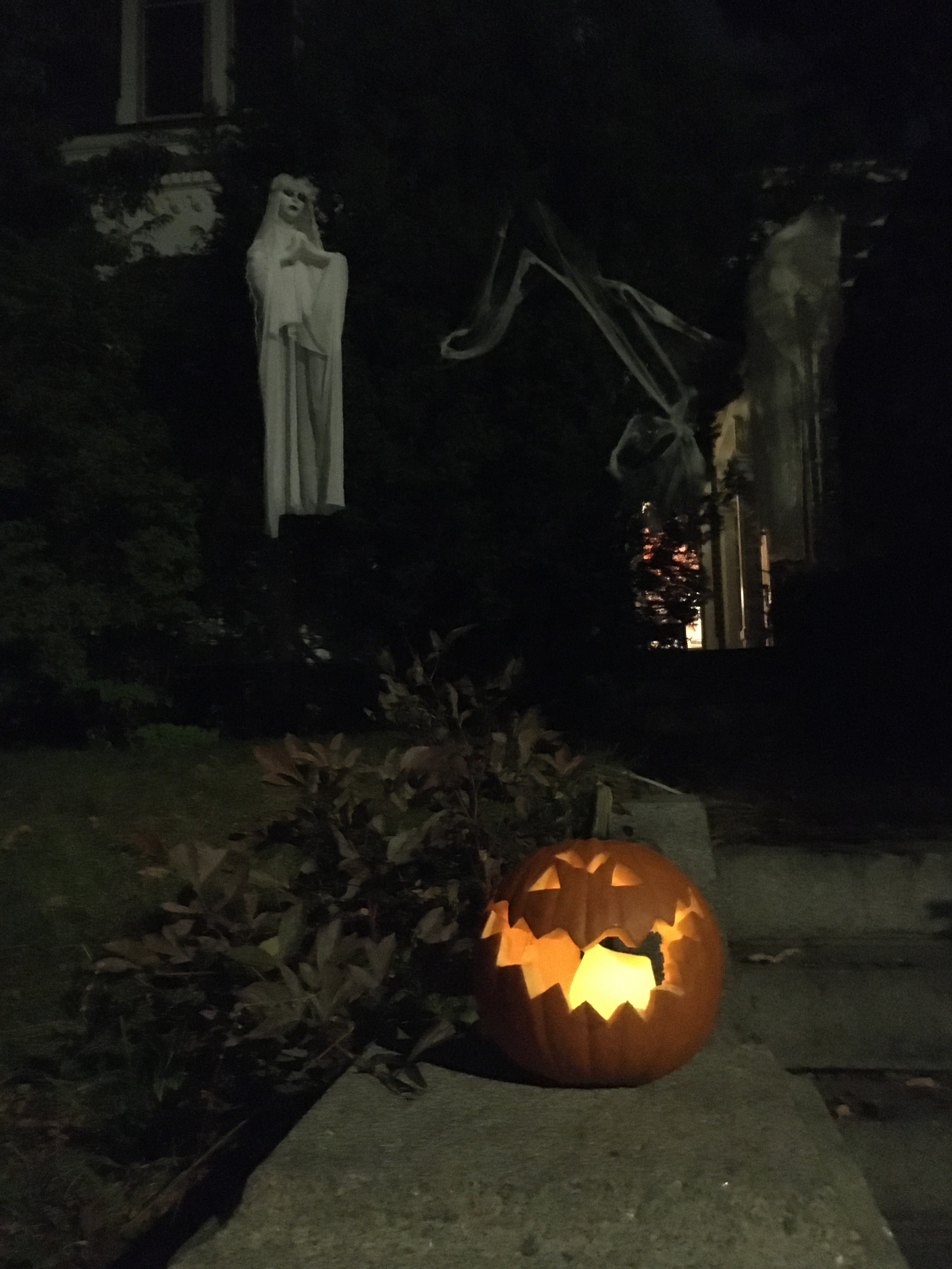 jack-o-lantern