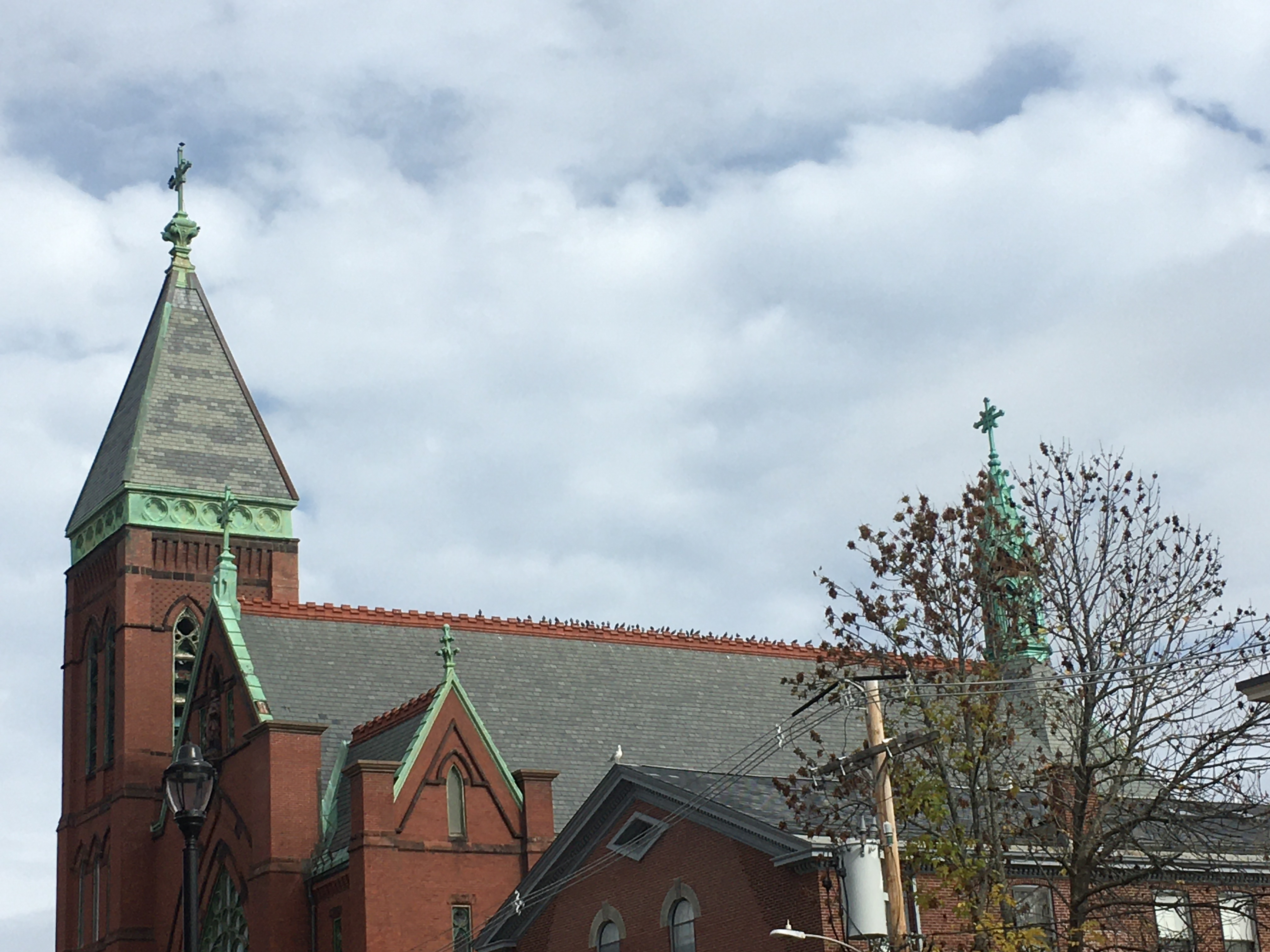 birds on a brick church