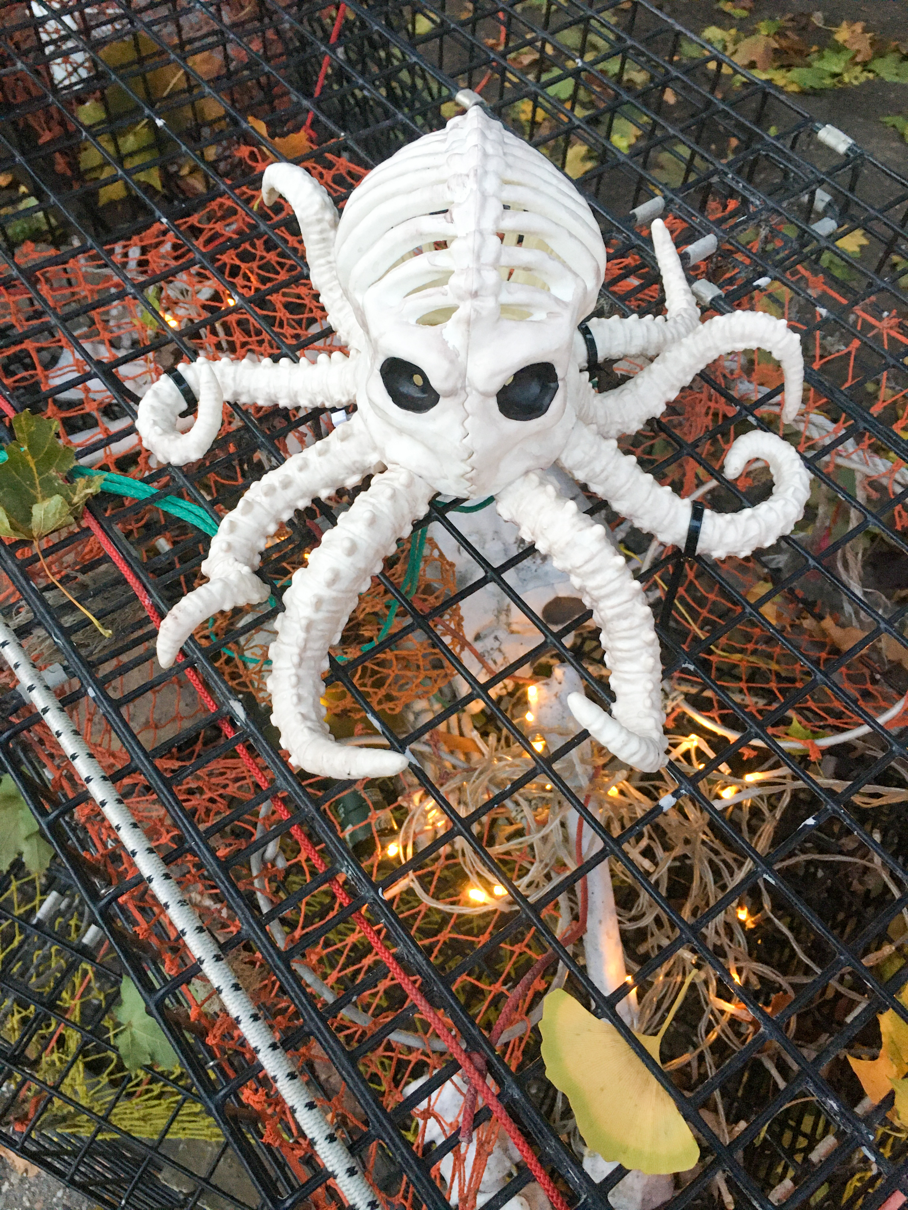 octopus body with a skeleton head