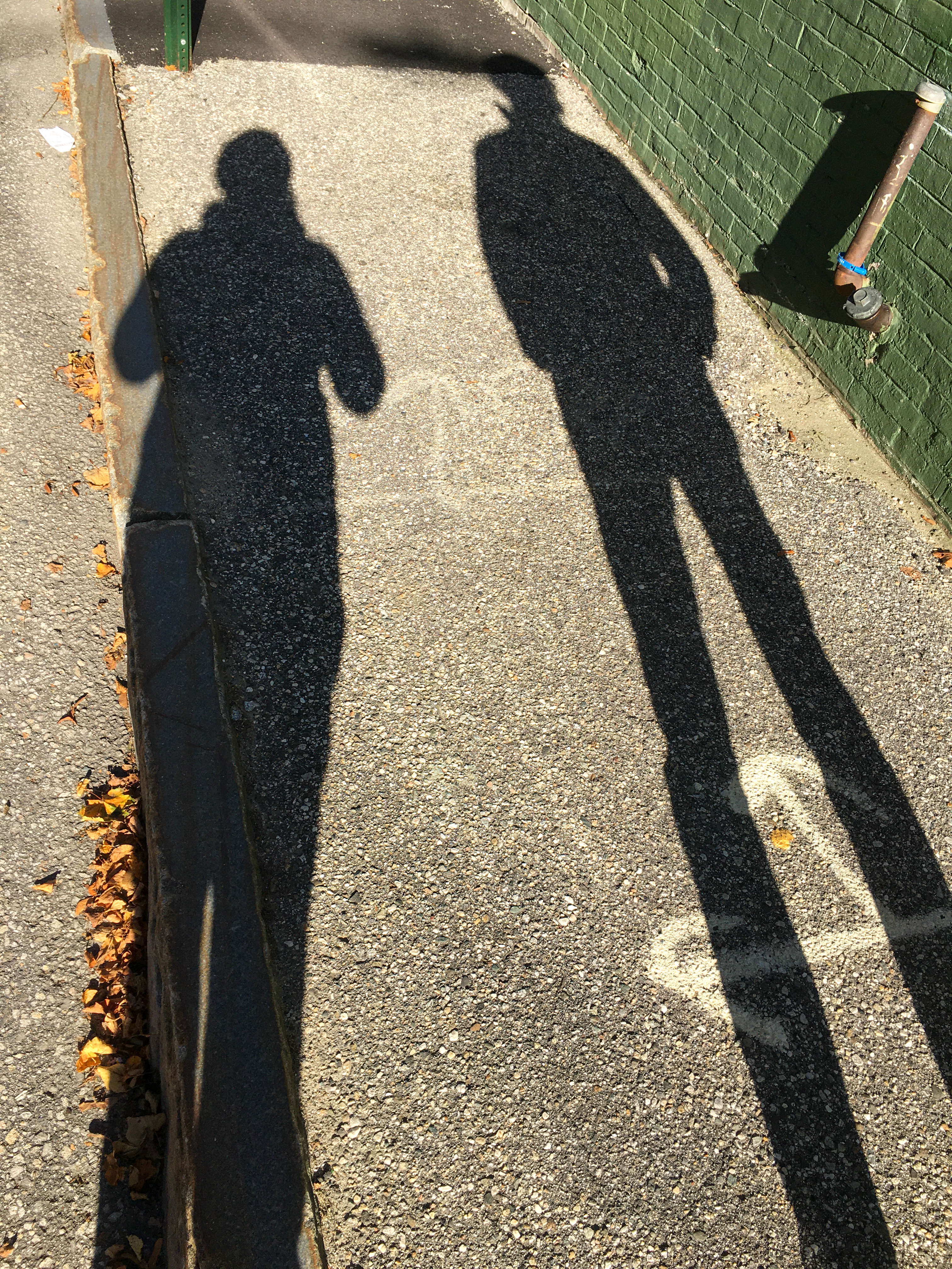 long shadow of two people