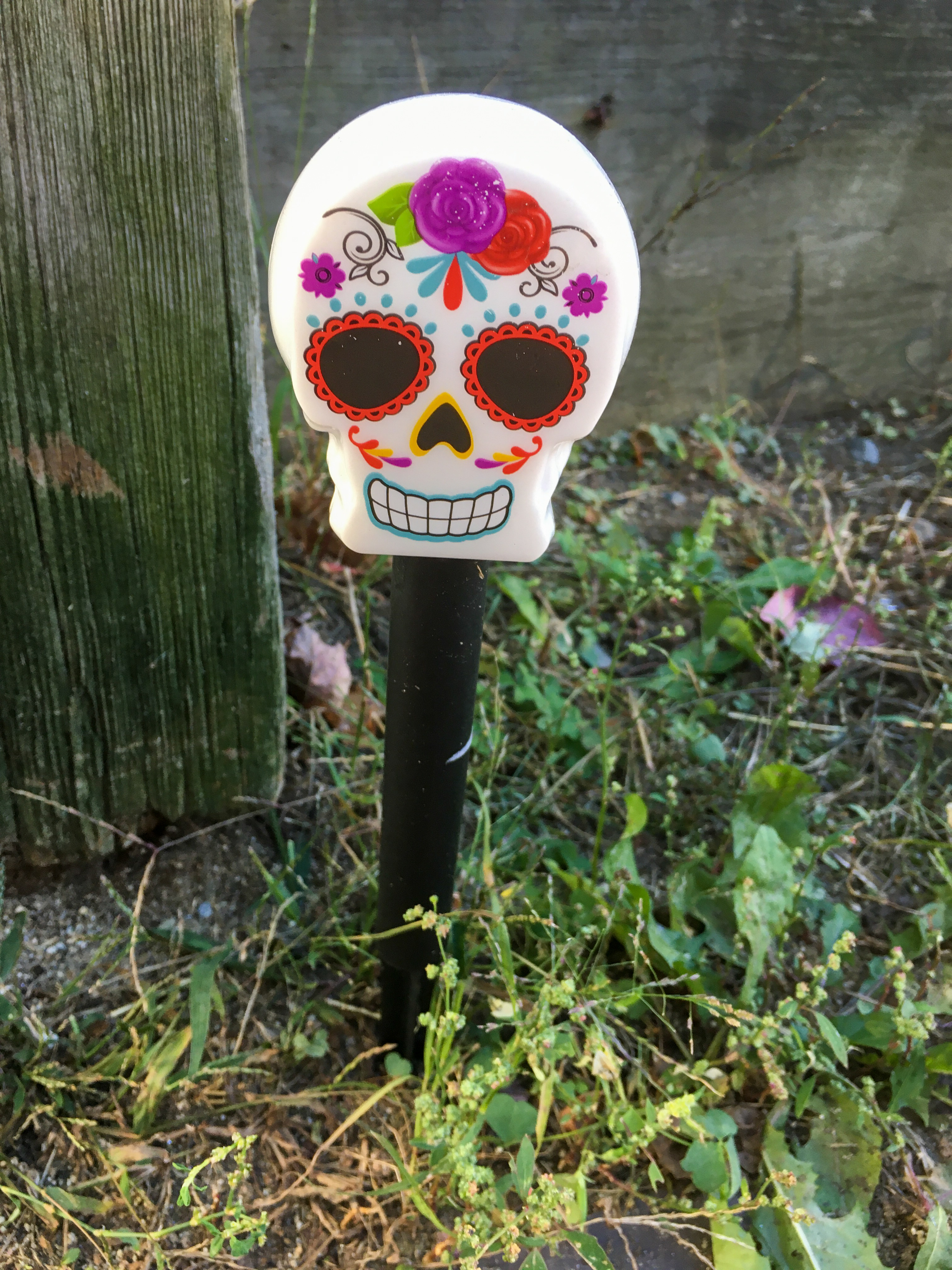 latin inspired skull on a stick that is a solar light