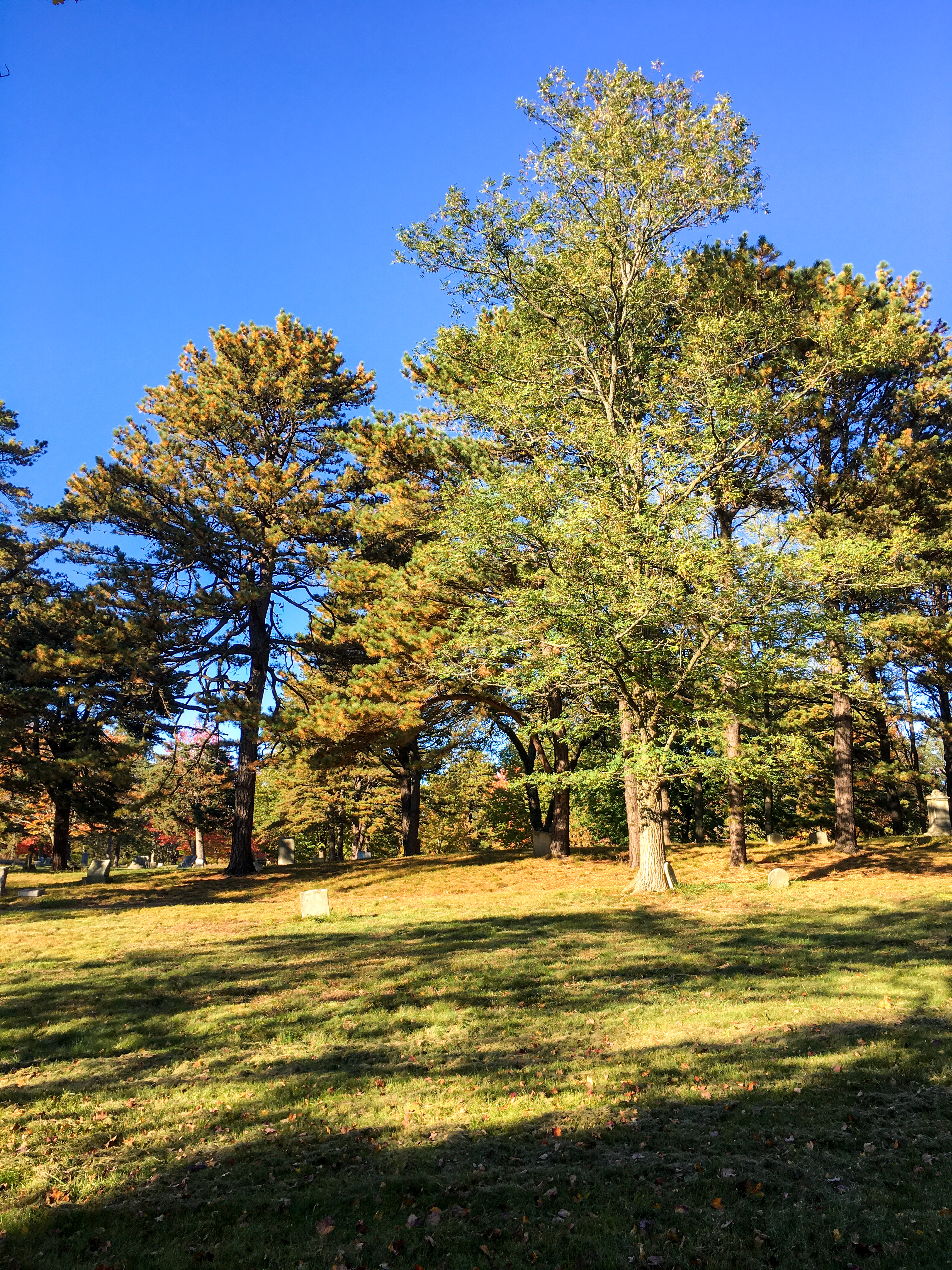 Western graveyard