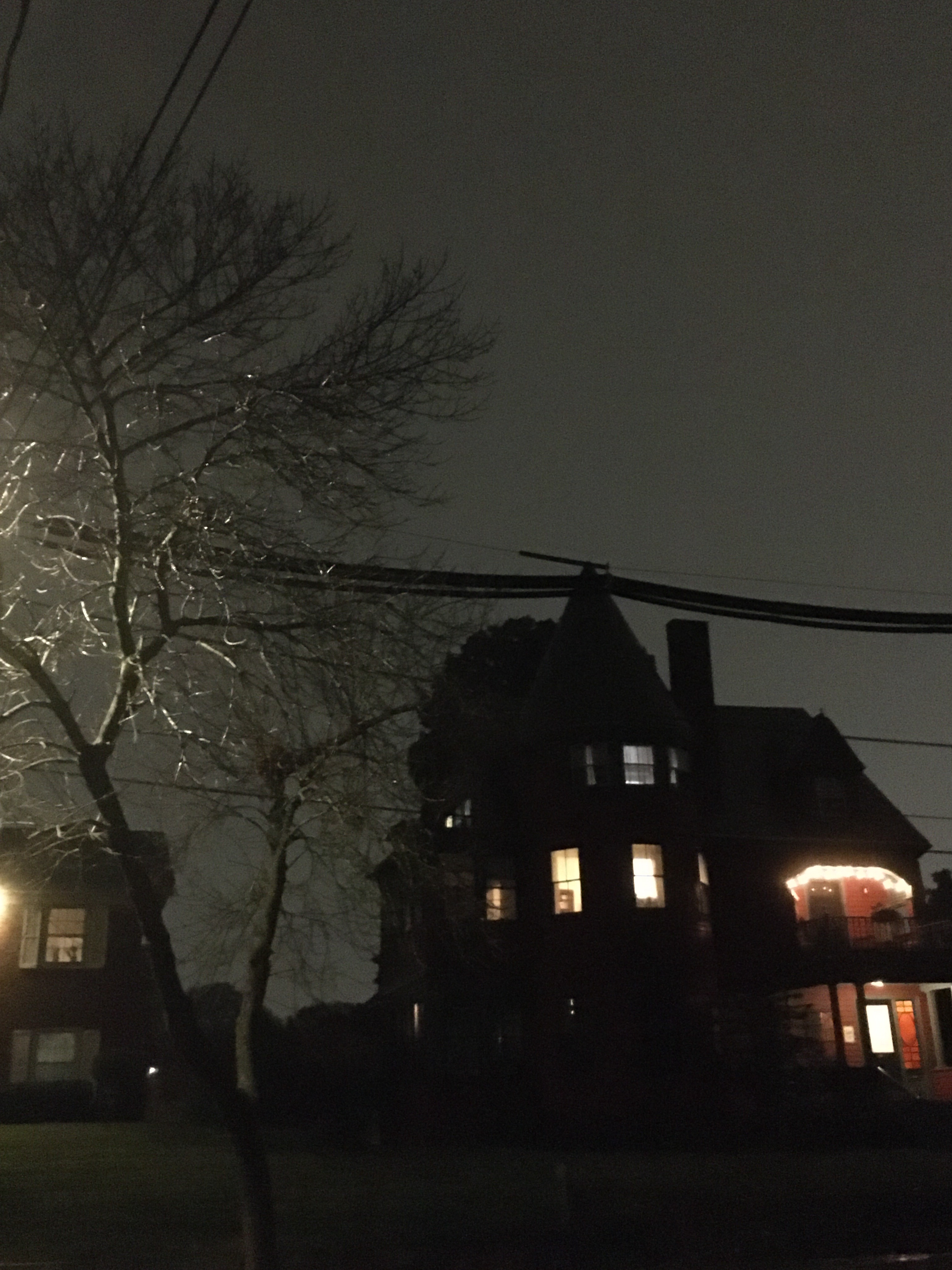 victorian house with tree with no leaves
