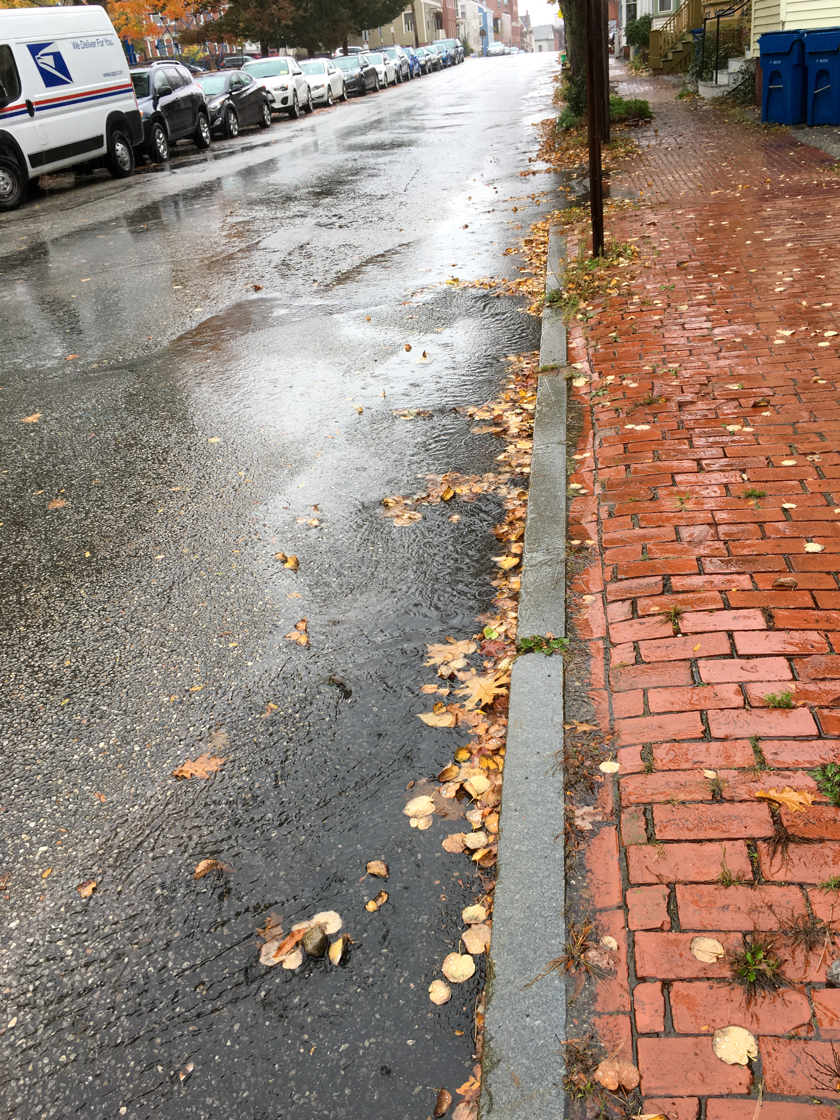 rain in the gutters