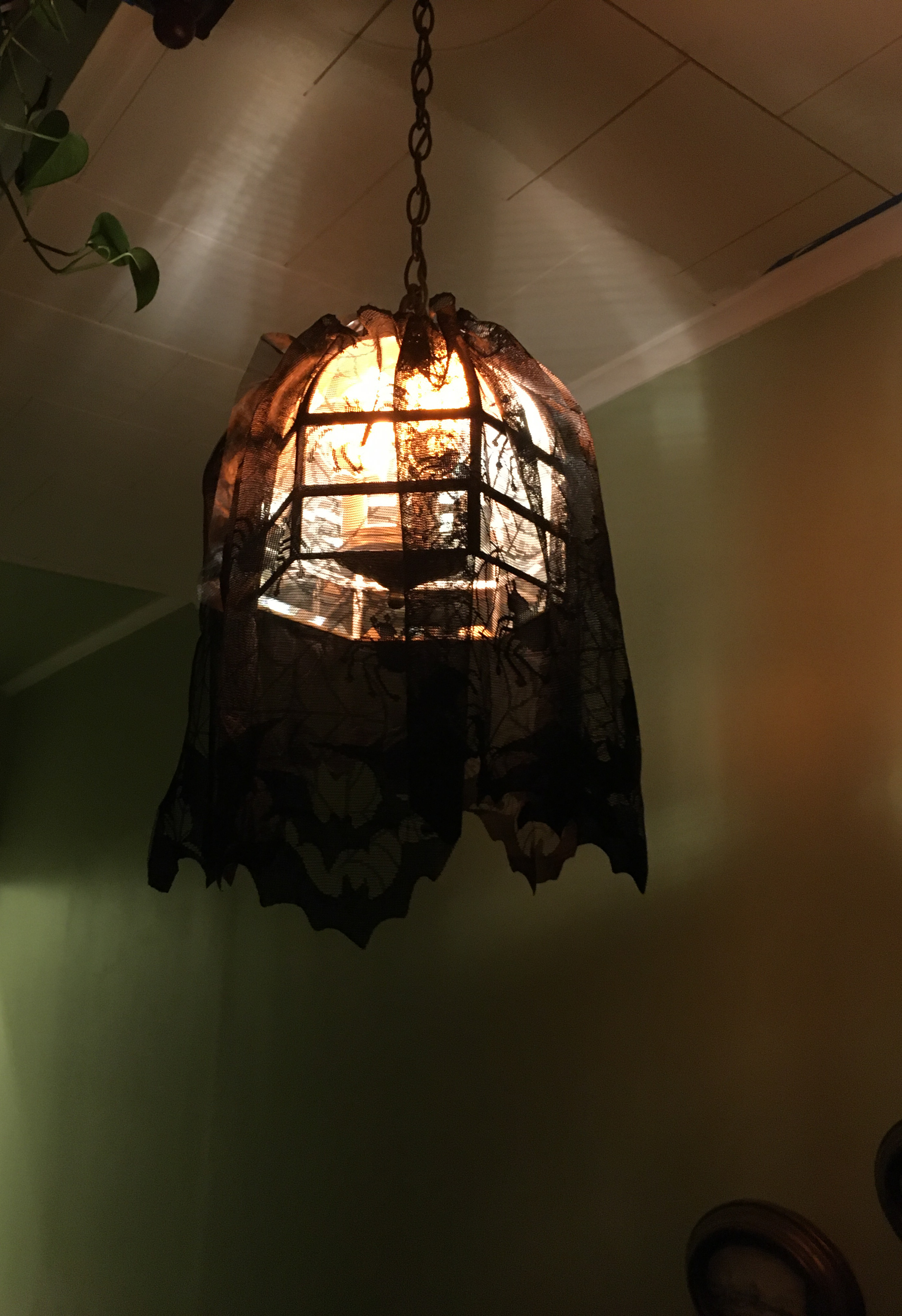 light covered with bat enhanced lace
