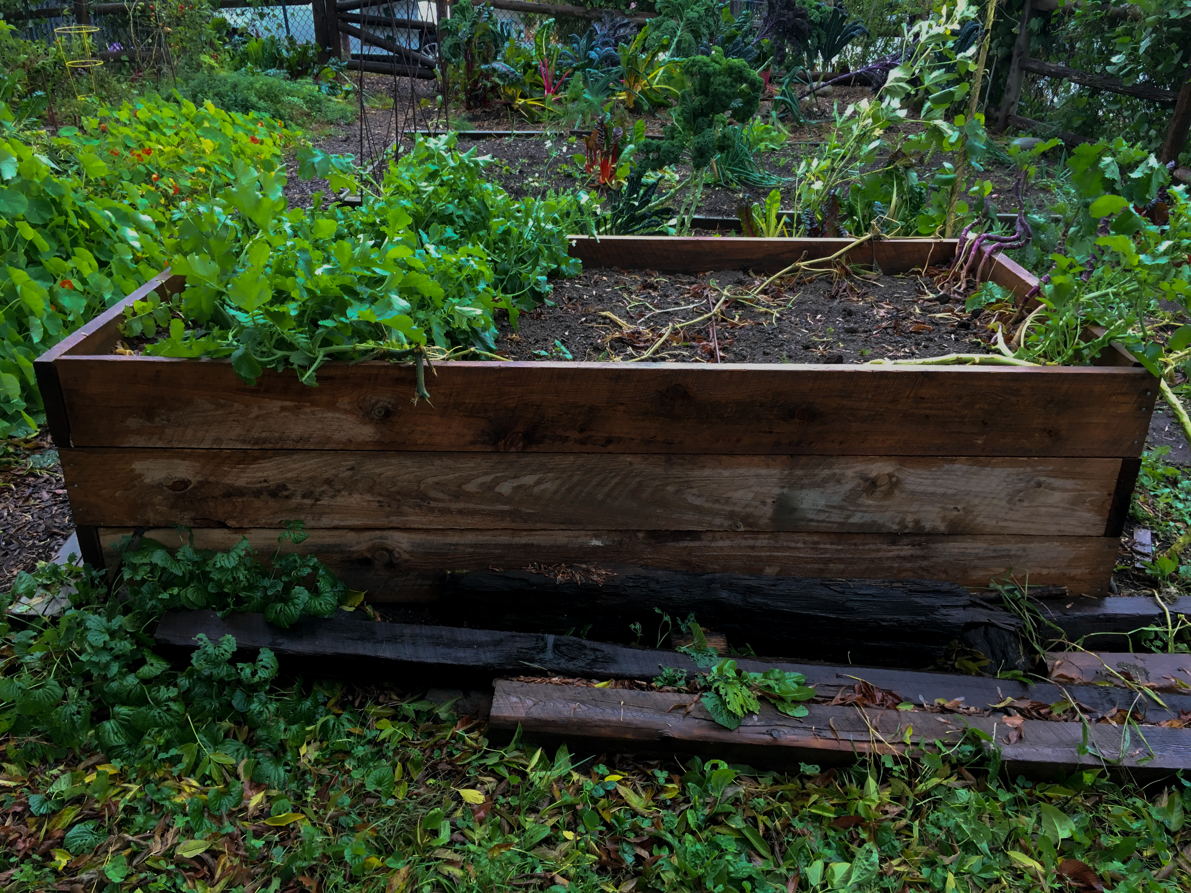 wooden garden box for planting