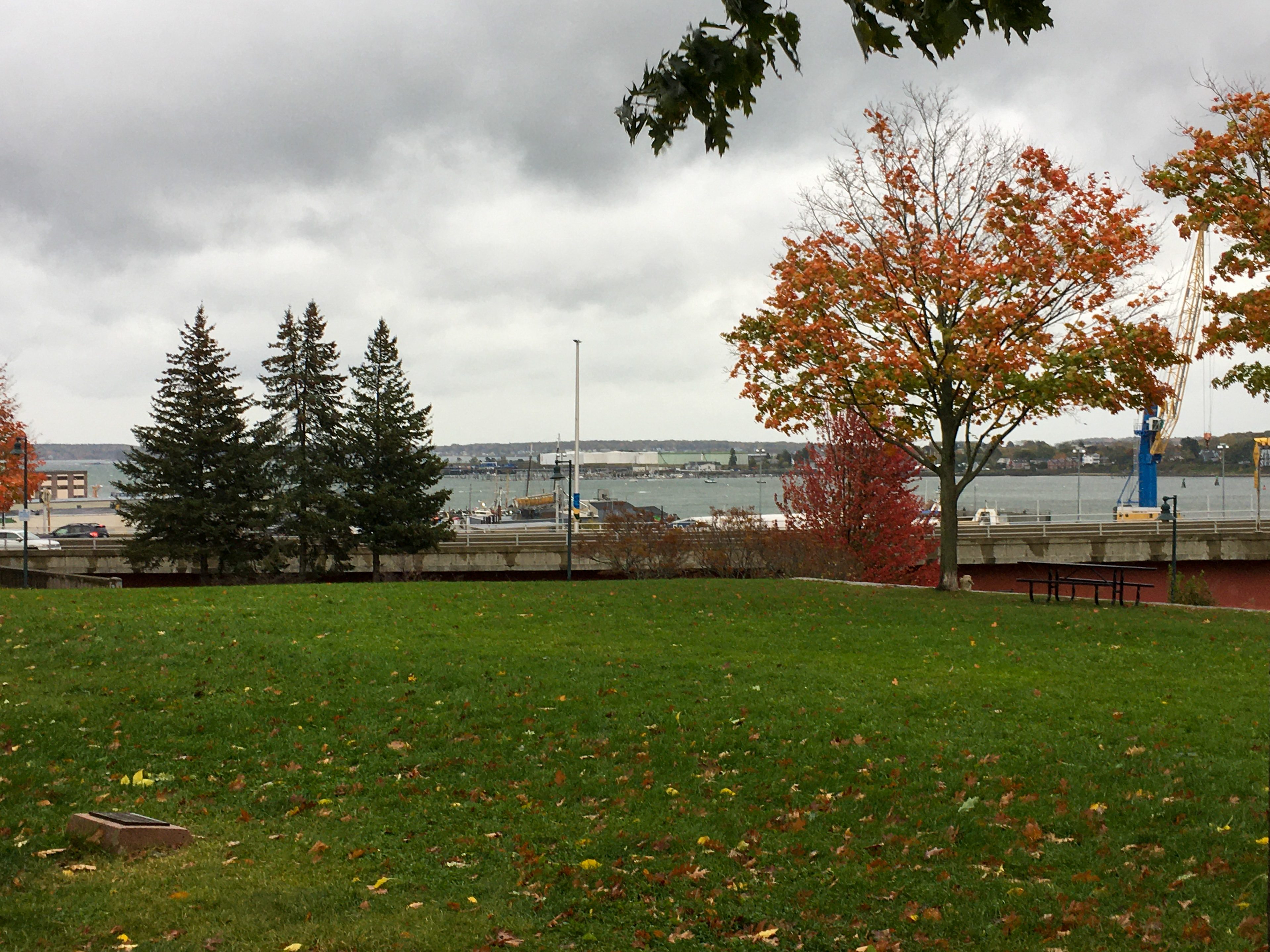 harbor view park