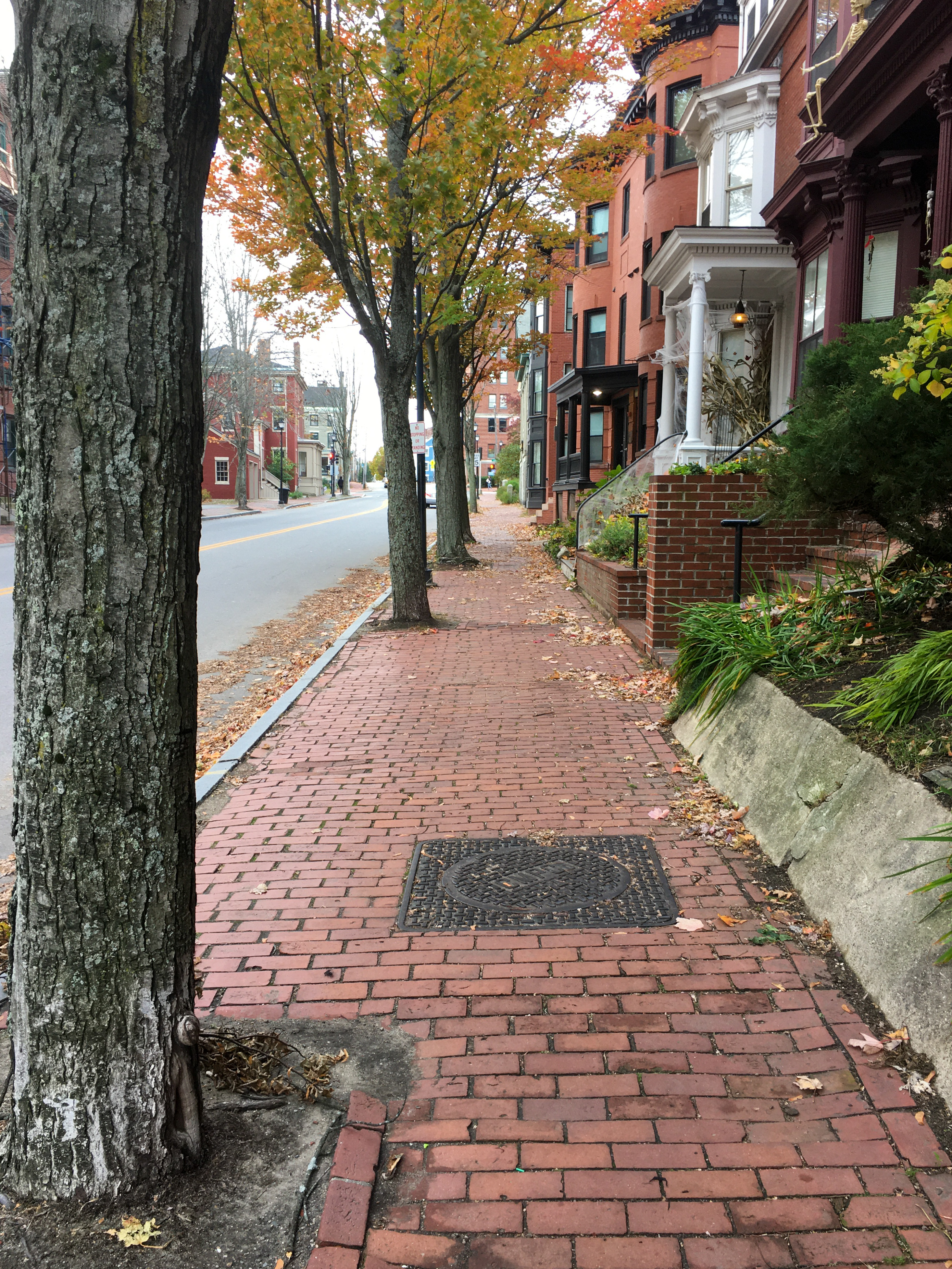 brick sidewalks with nice houses and trees