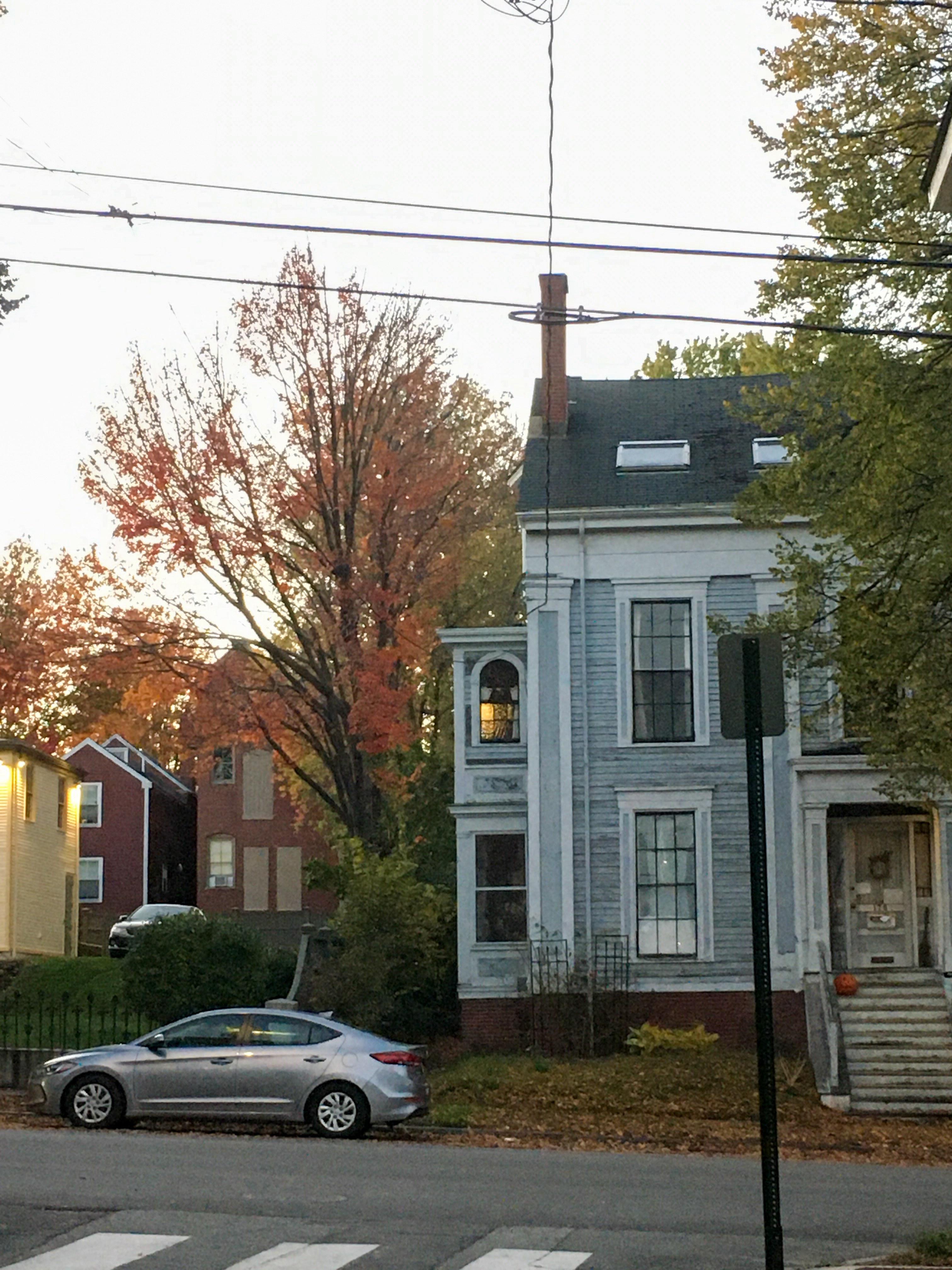 golden tree with old wood victorian home