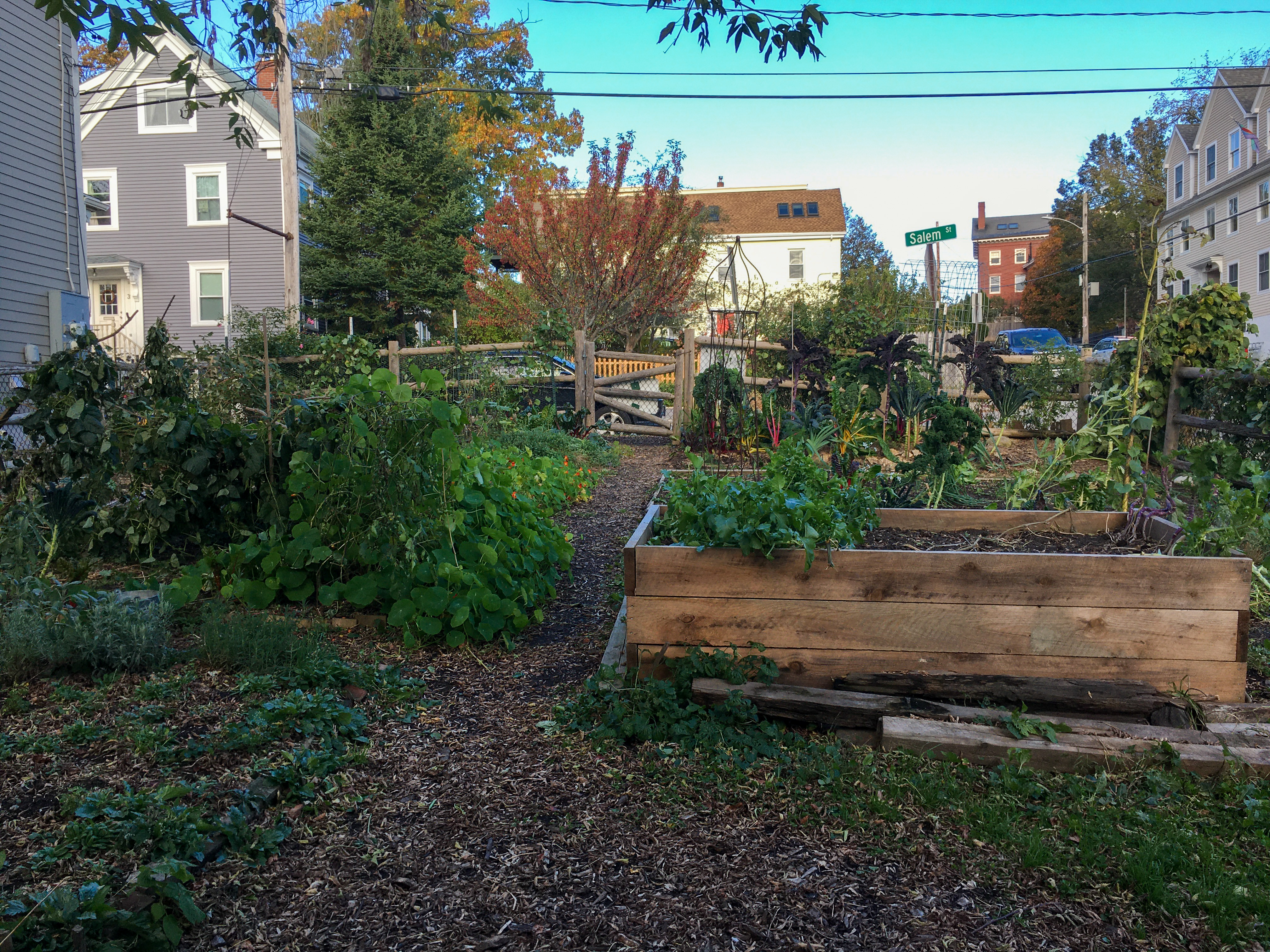 a view of all of clark st. community garden