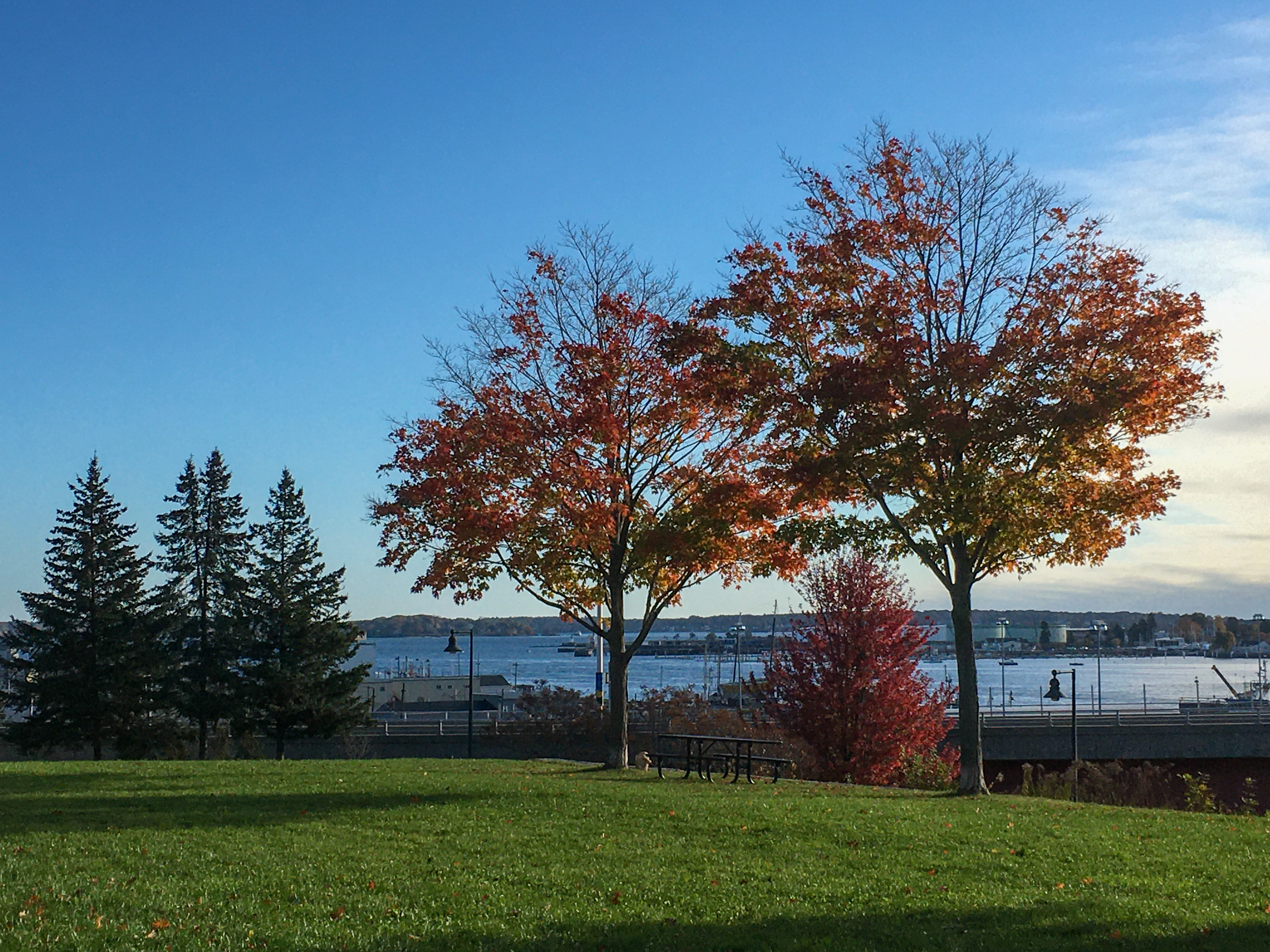 harbor view park