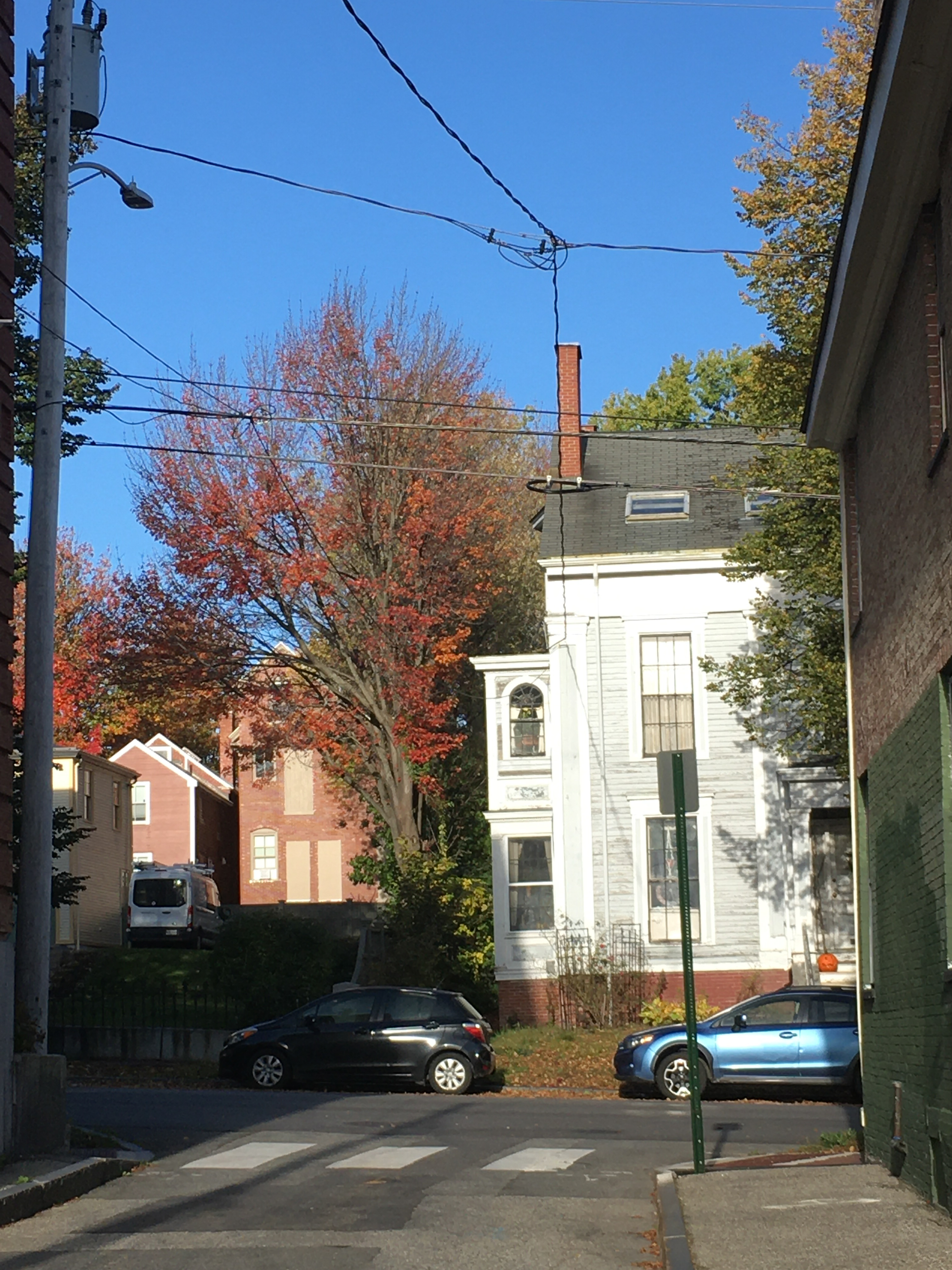 victorian house and red tree