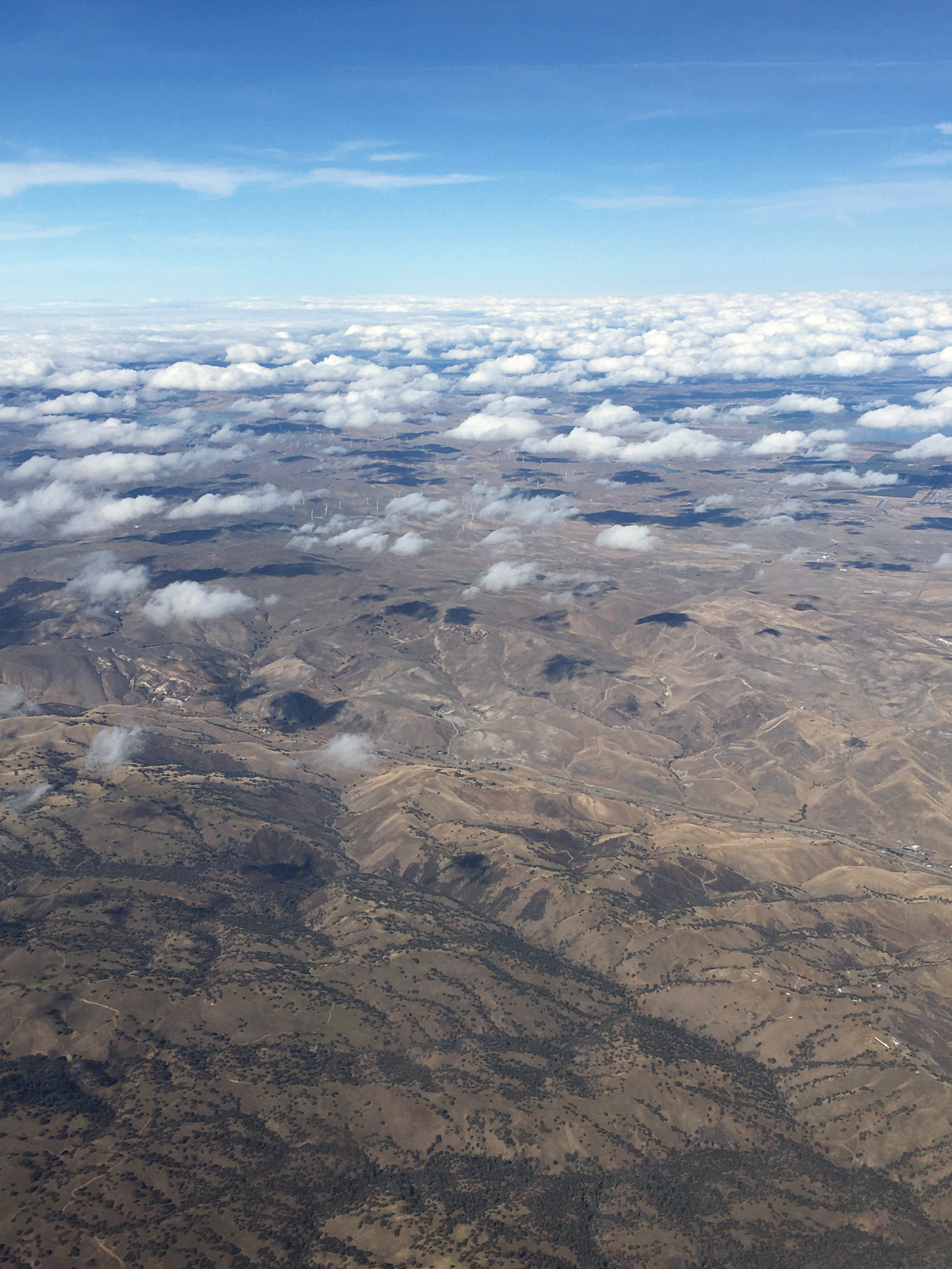 dry hills of the East Bay