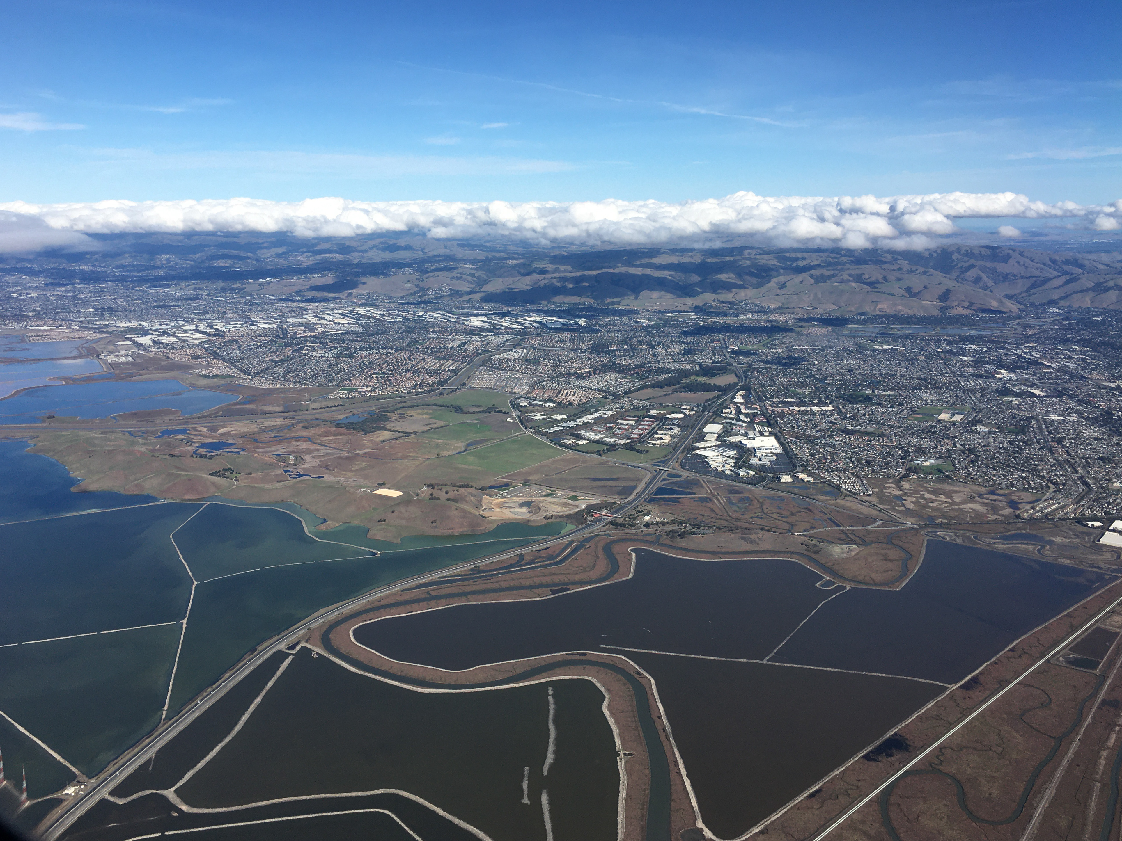 East Bay and the salt marshes from above