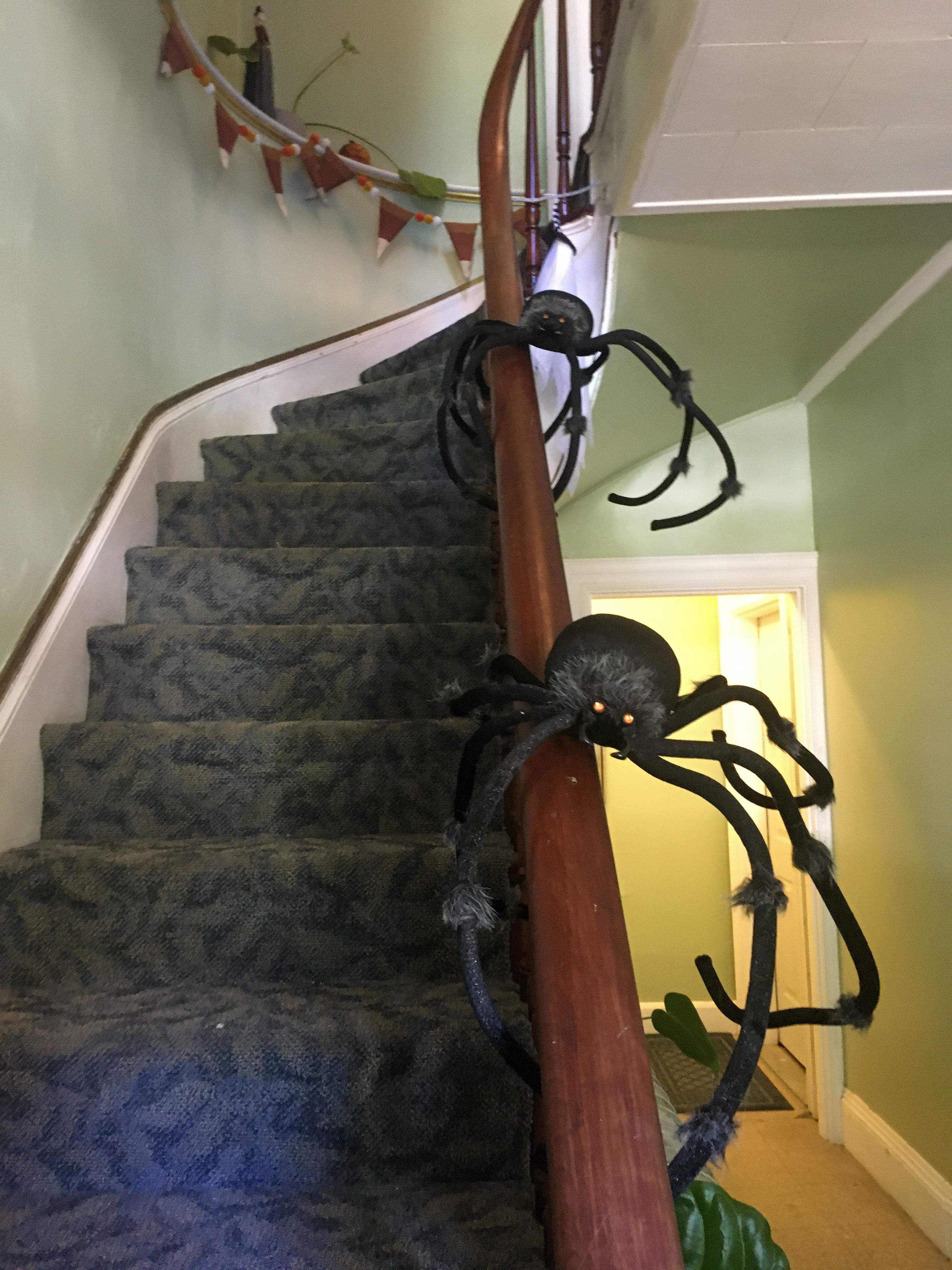 spiders coming down the balustrade