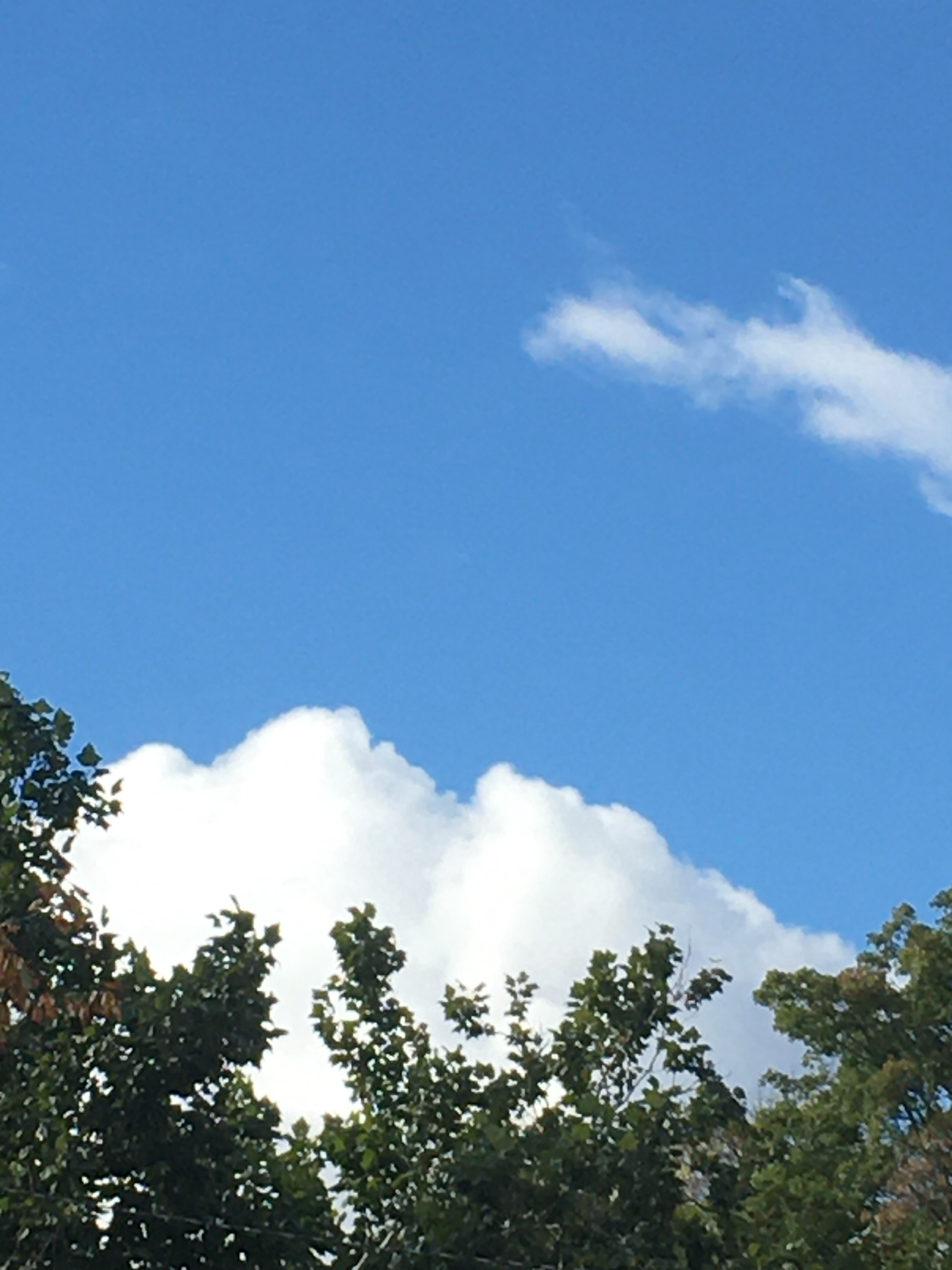 beautiful blue sky with white clouds