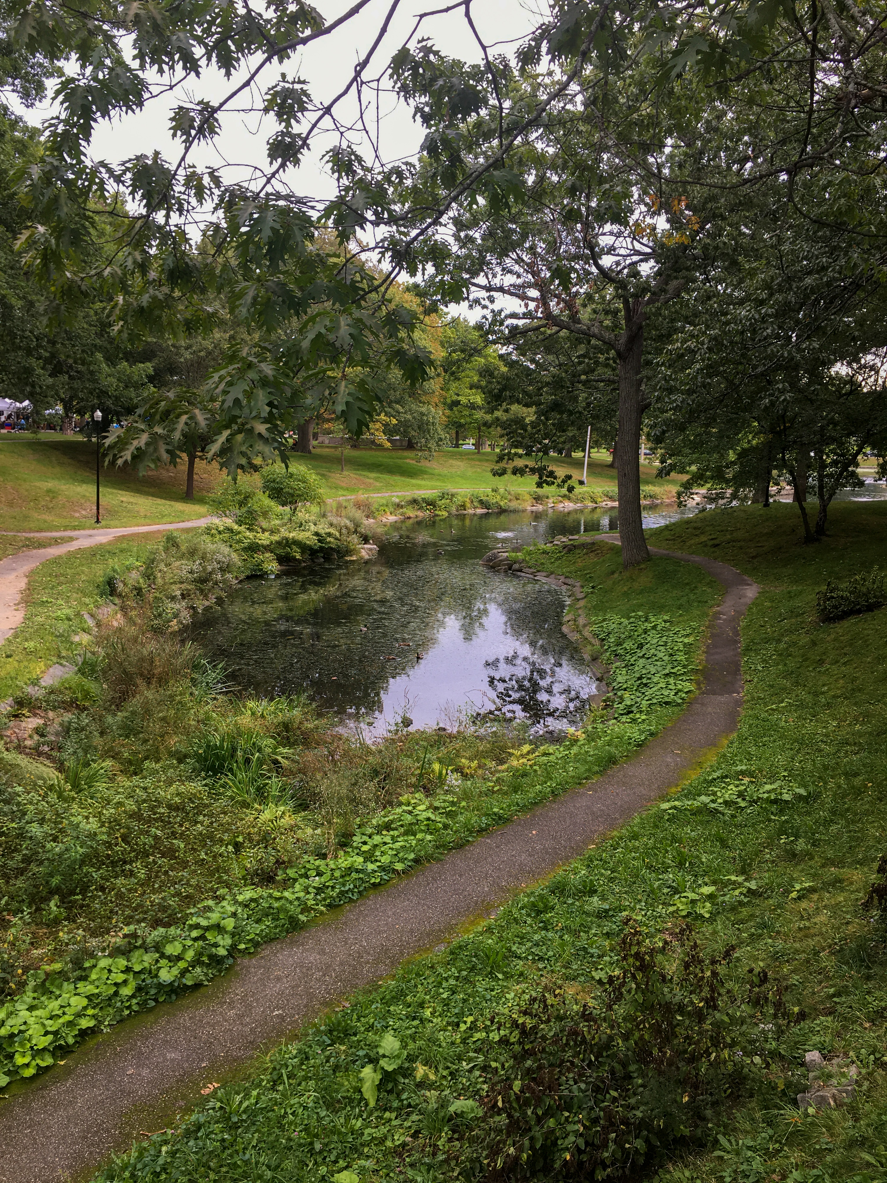 Deering park duck pond in Portland