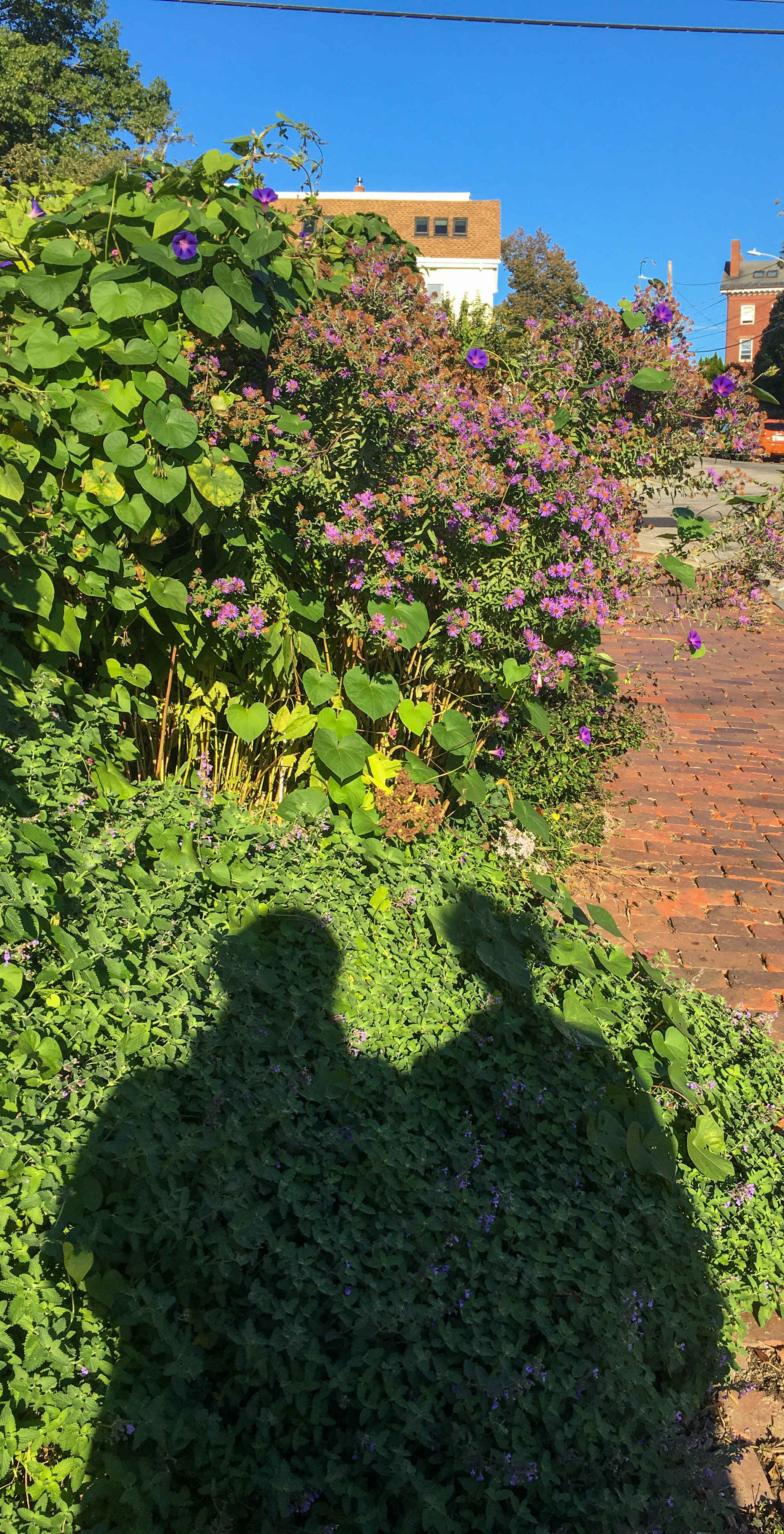 long shadows of two people 