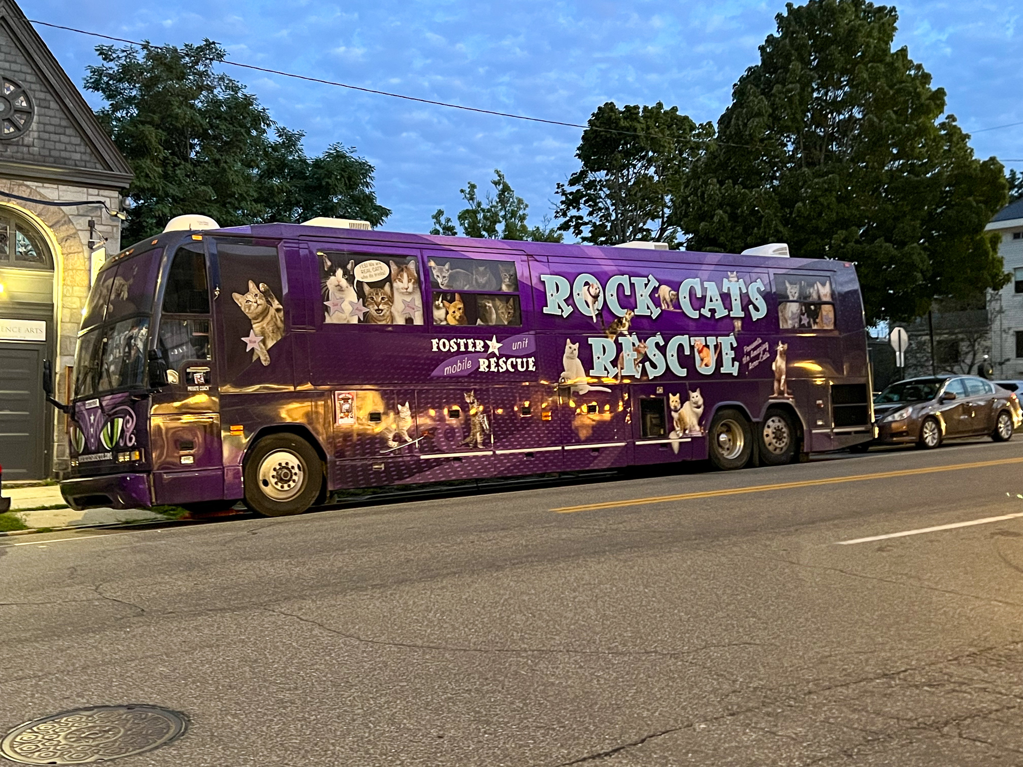 Giant purple bus that says "ROCK CATS RESCUE" 