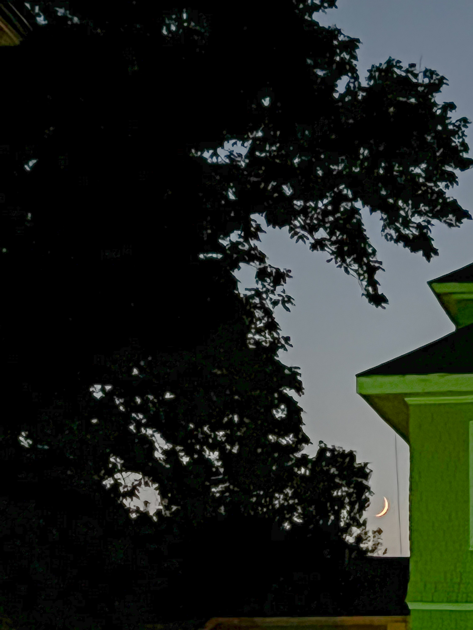 crescent moon peaking out between a tree and a house