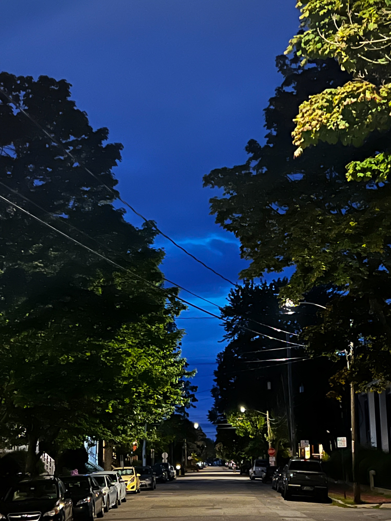 night sky with trees on the edges creating a V shape
