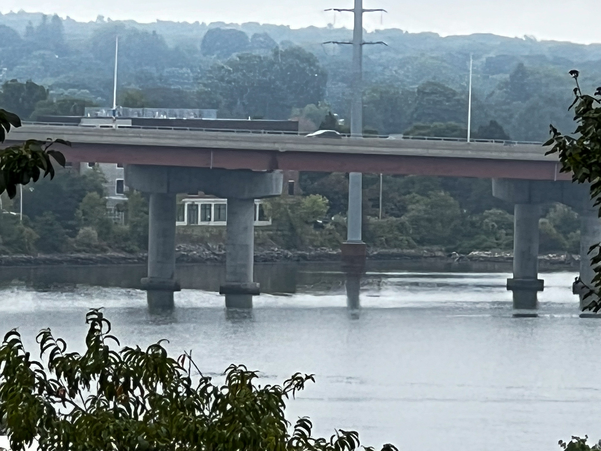 highway bridge with thin fog