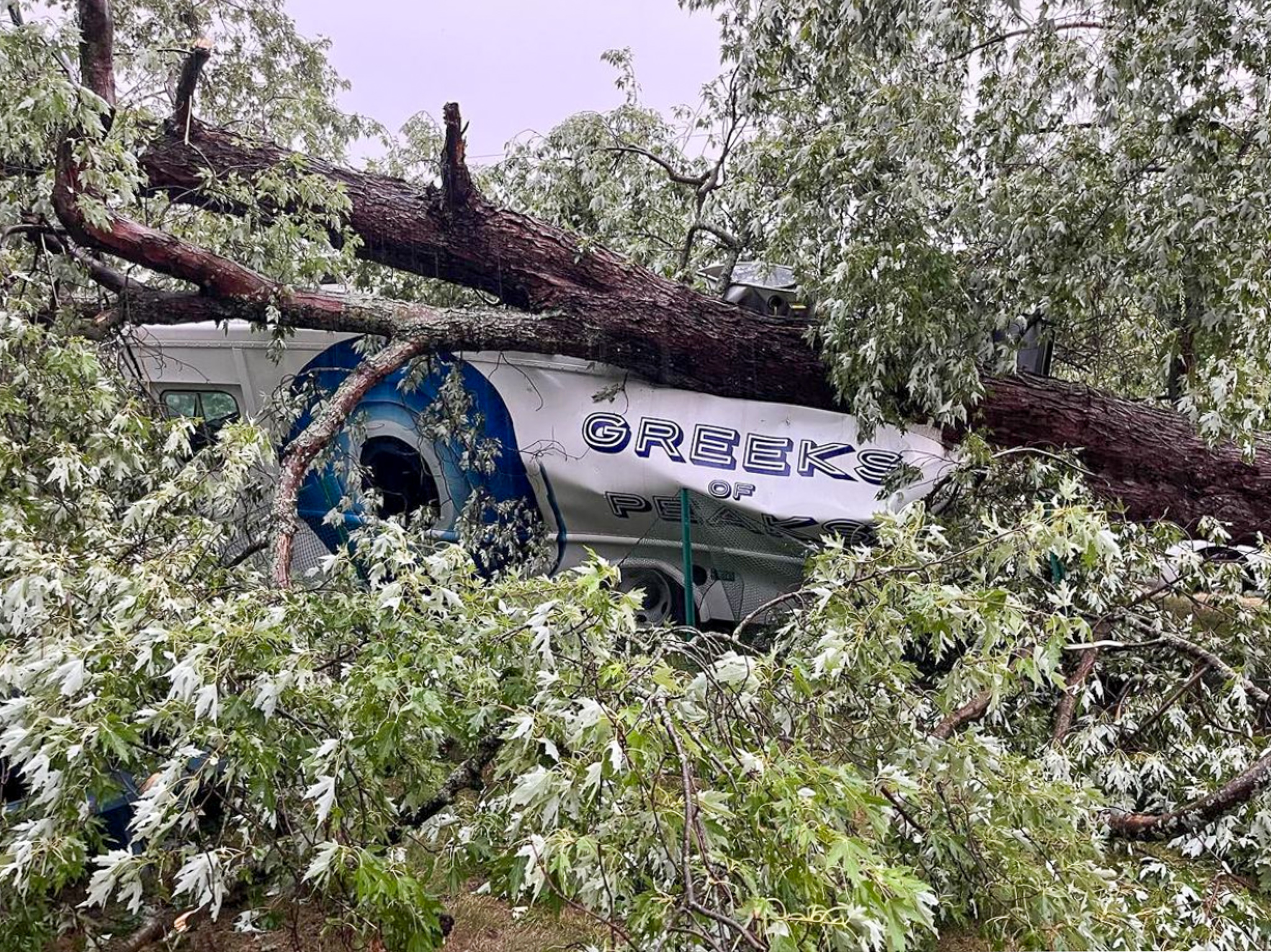 Greeks of Peaks foodtruck that has been crushed by a falling tree