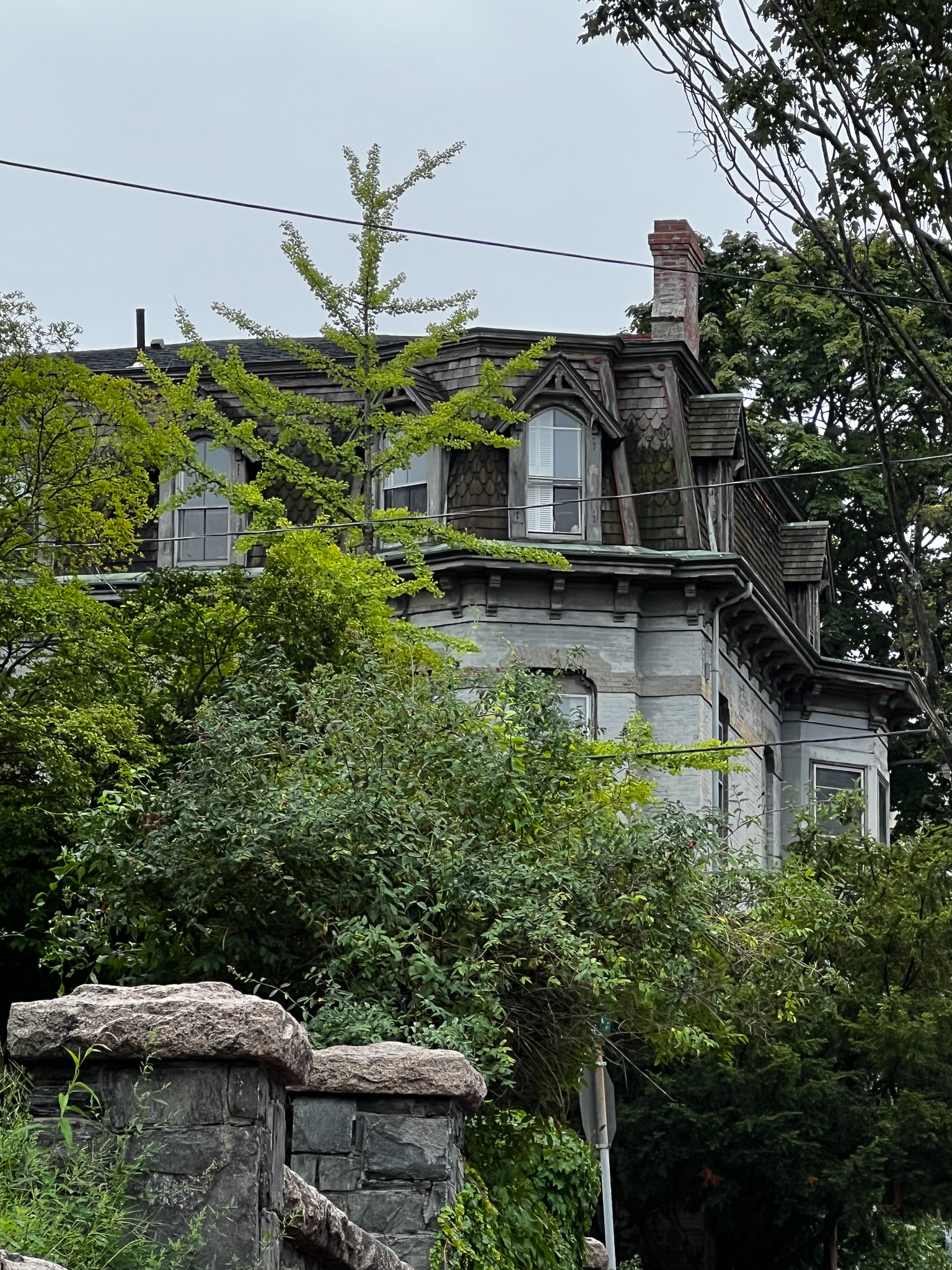 gray old house with trees