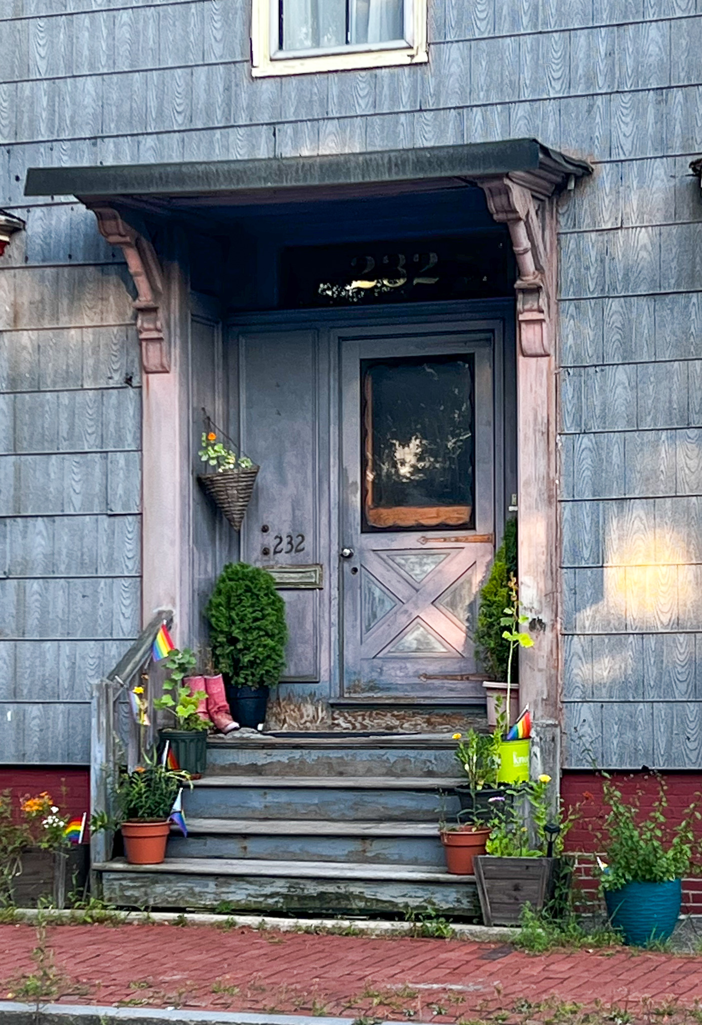 doorway with purple and gray and rainbow flags and plants