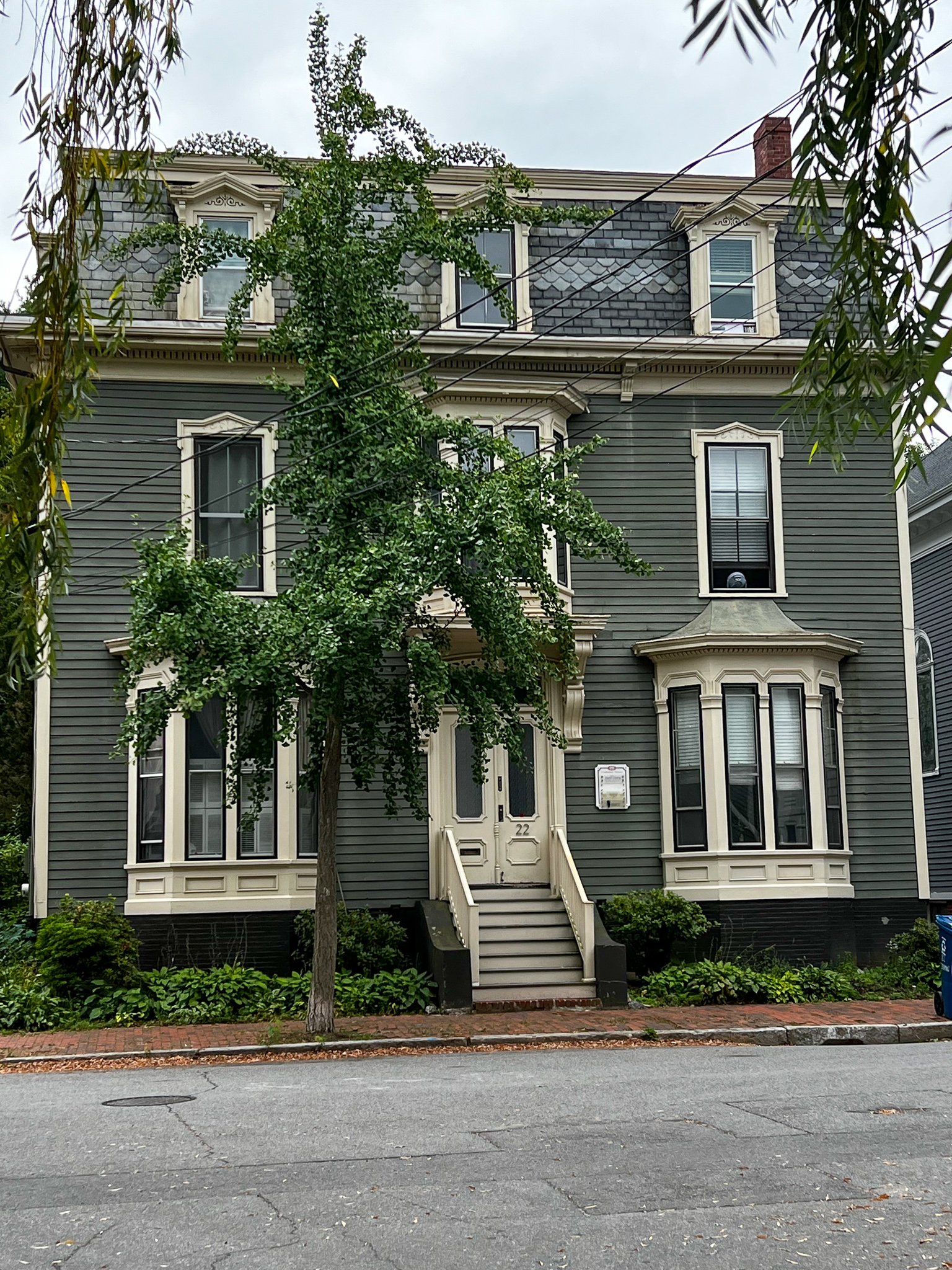 beautiful gray green house with weeping willow branches in front and bay windows