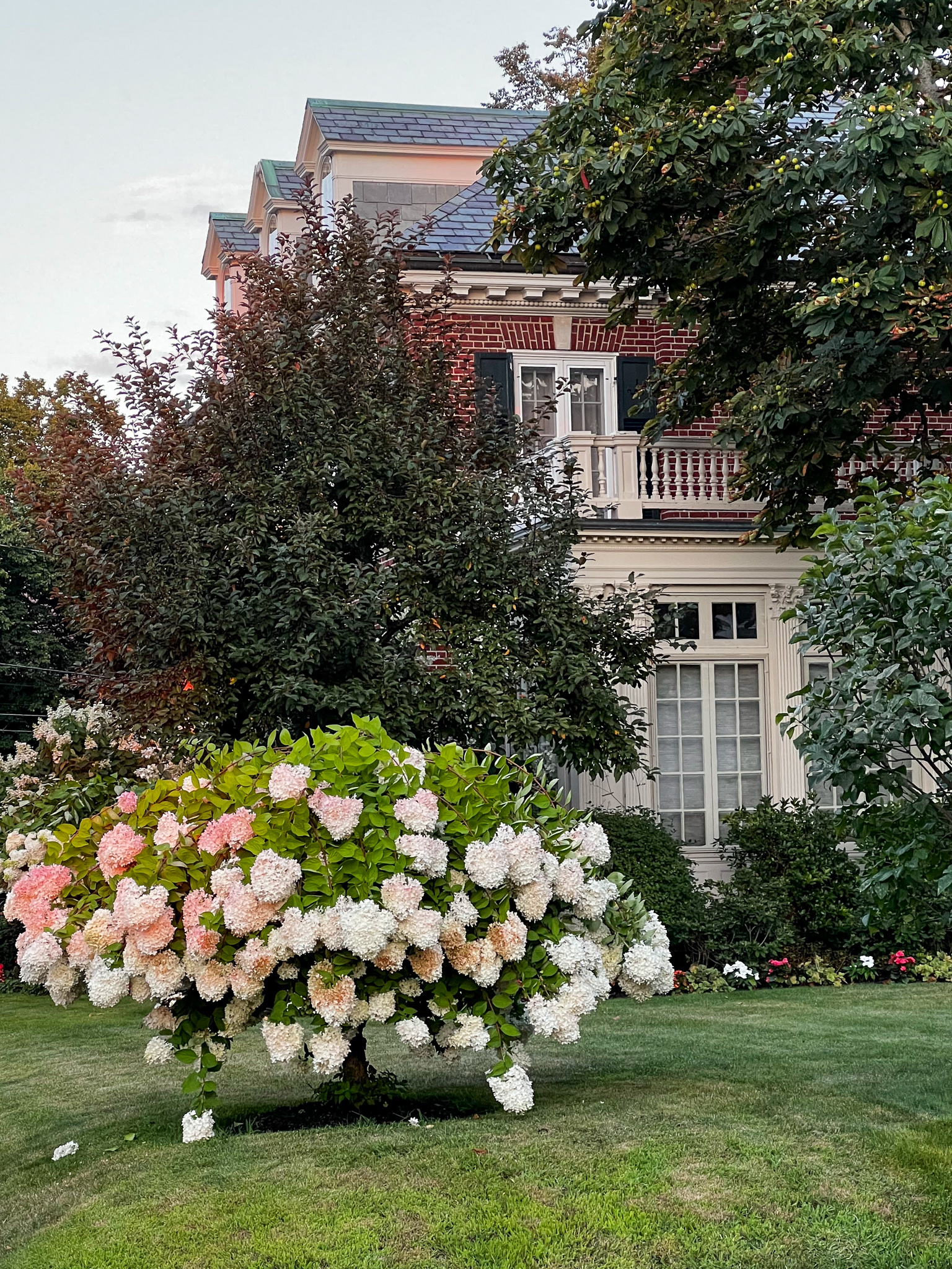 gardens with a house