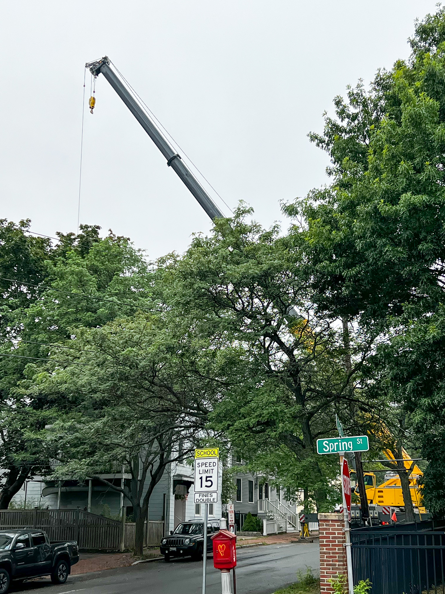 giant crane leaning over trees