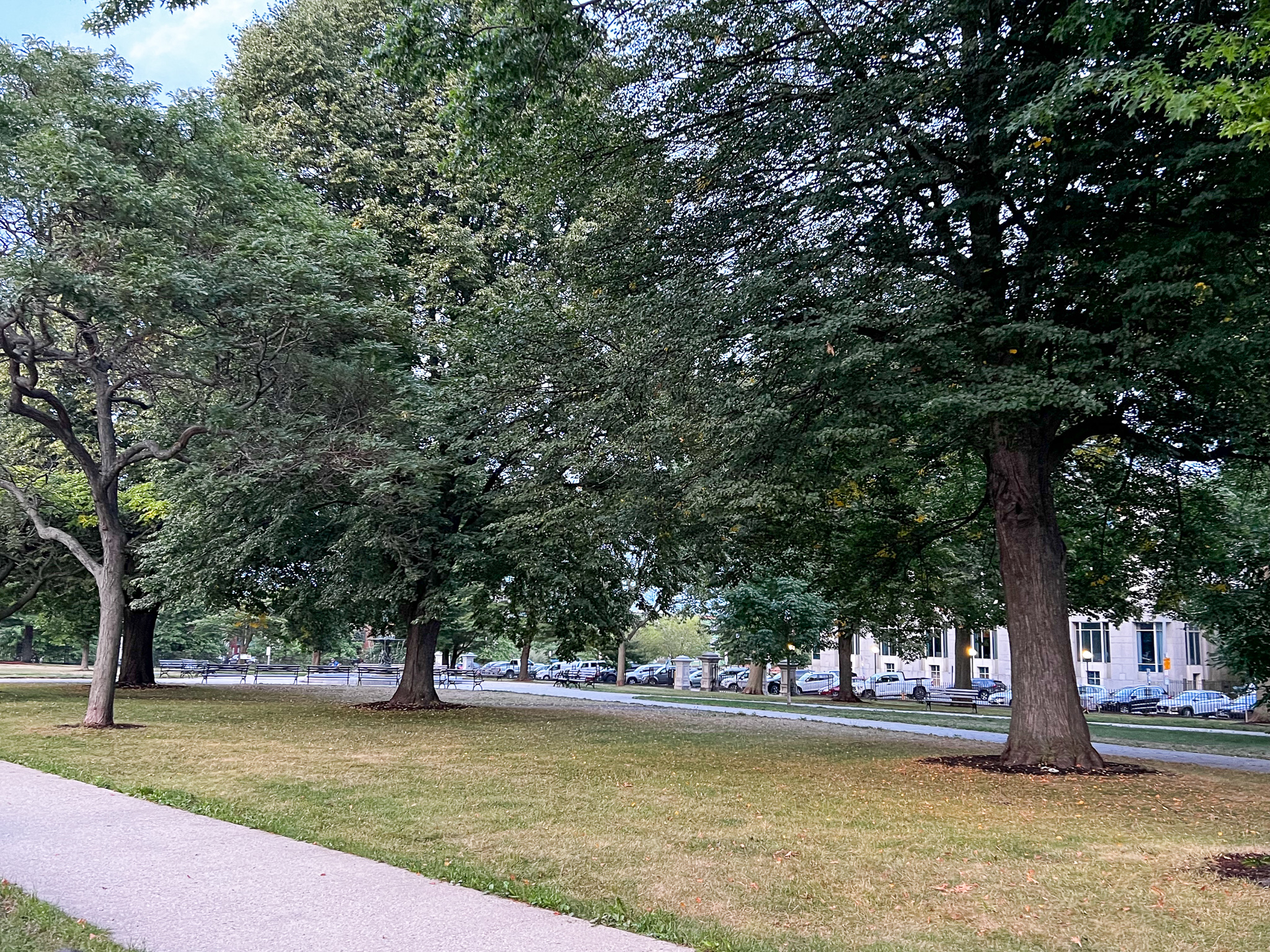 picture of a park with big trees and a fountain in the middle