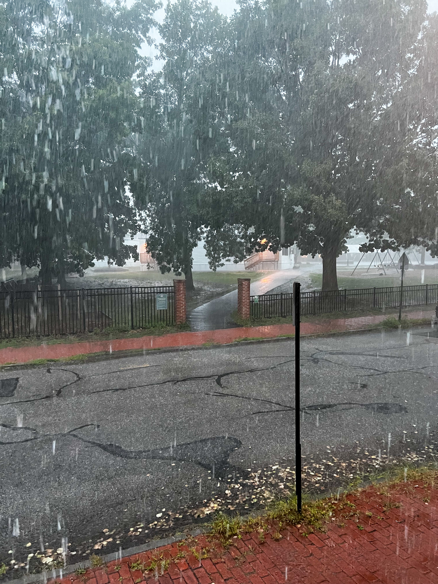 rain overlooking a street and trees