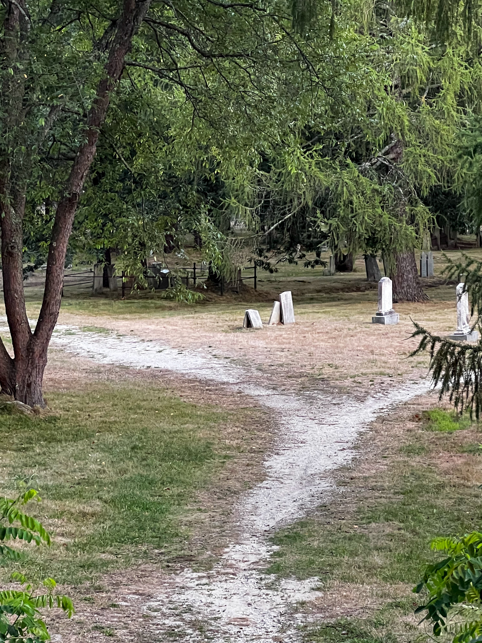 well worn paths through the graveyard