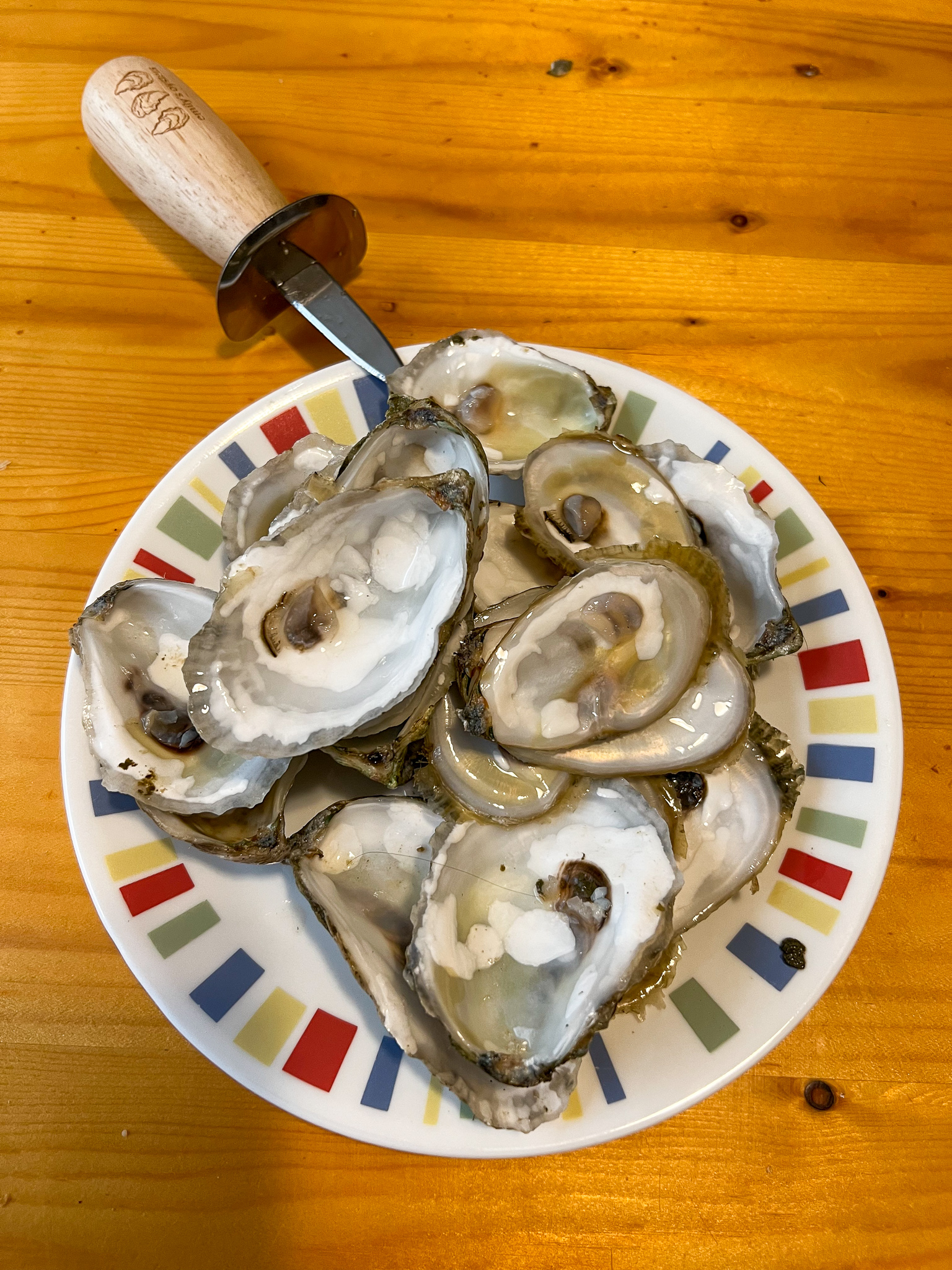 spent plate of oyster shells
