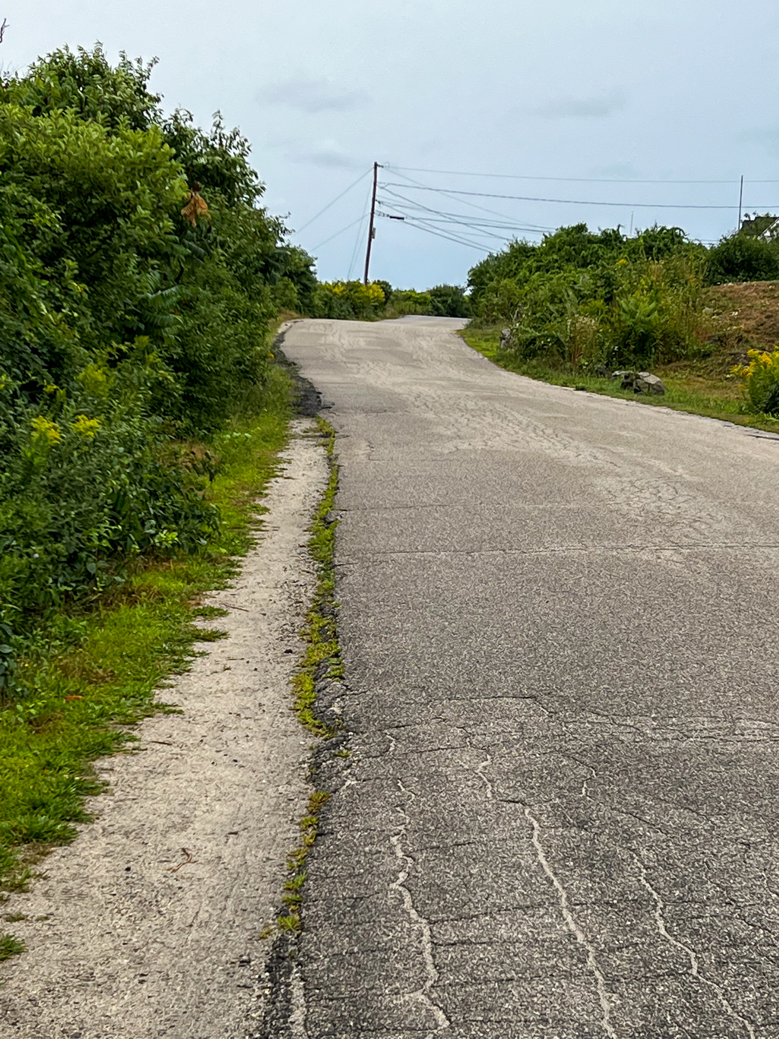 This image has an empty alt attribute; its file name is viewroad1-3.jpg