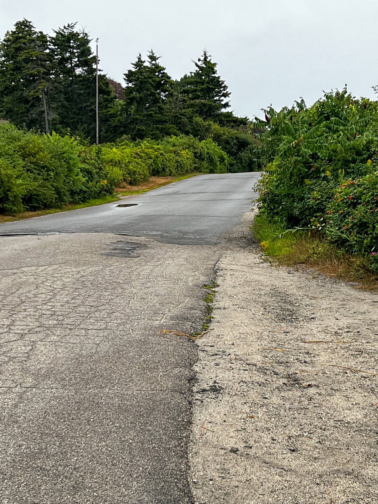 This image has an empty alt attribute; its file name is viewroad2-3.jpg