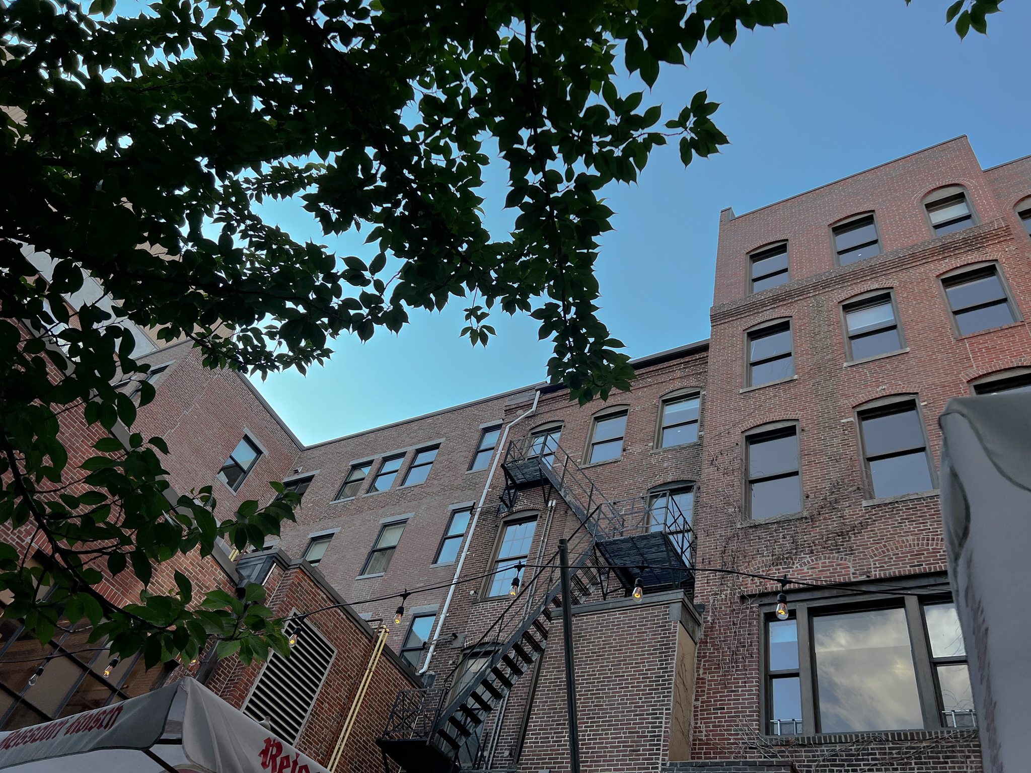 brick and fire escape buildings