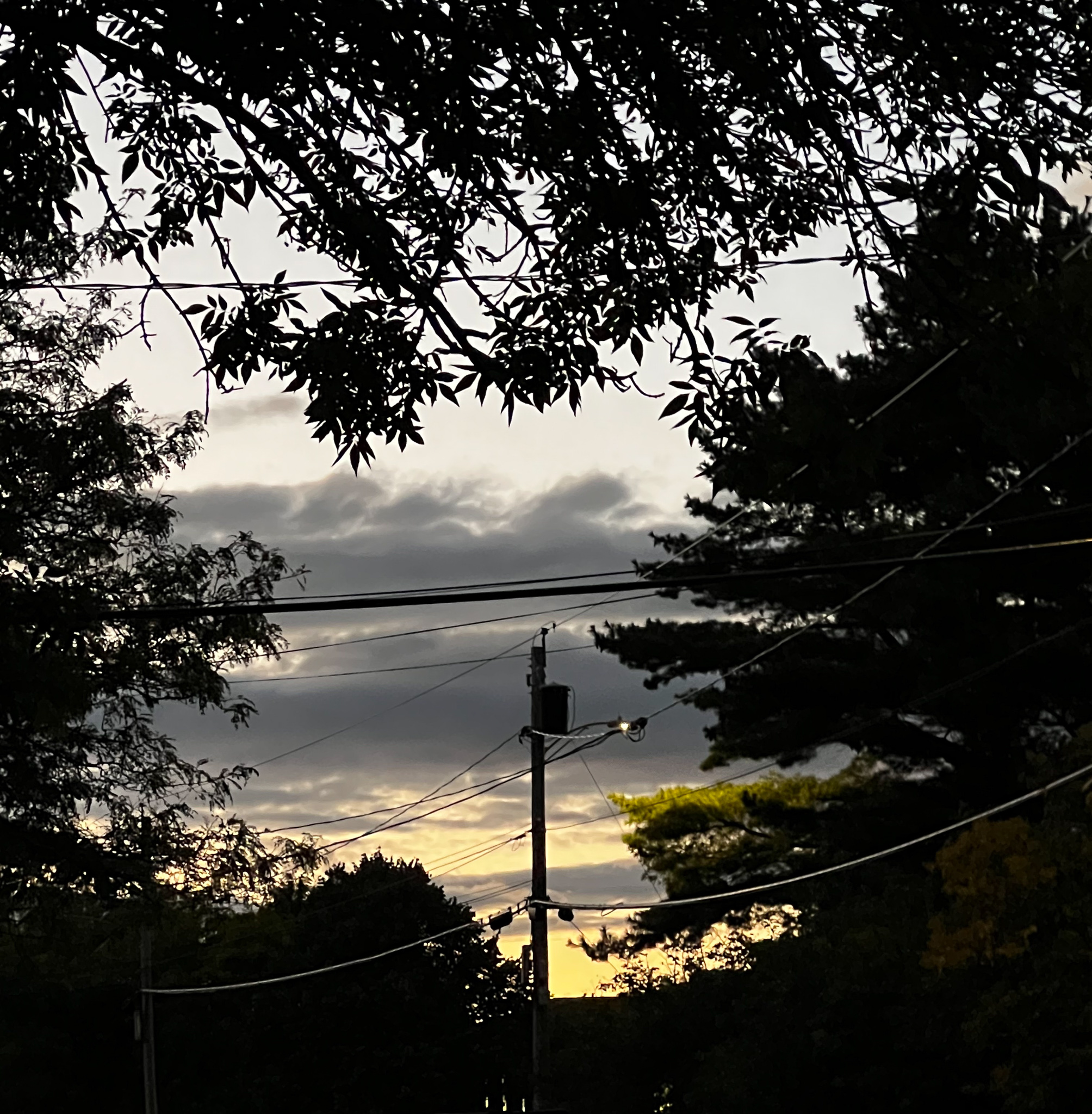 Nice sky with clouds surrounded on all sides by trees