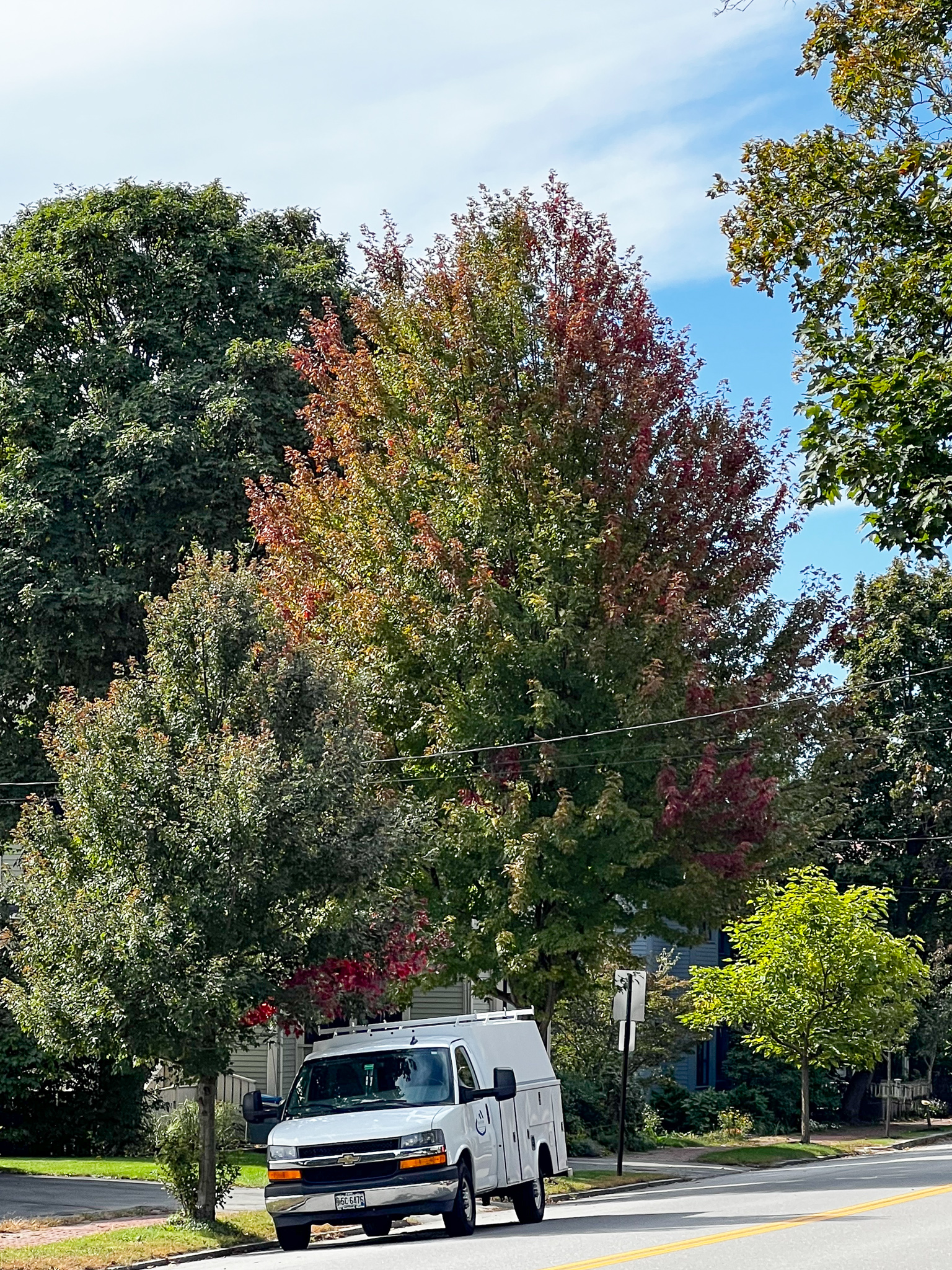 trees all starting to turn colors for autumn