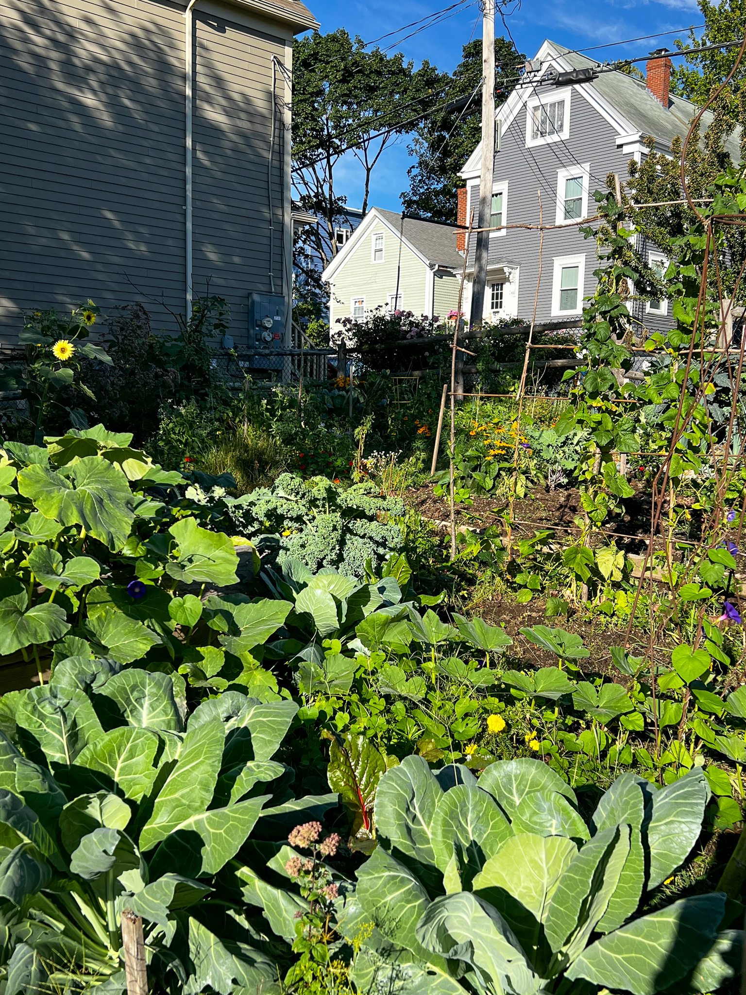 view of clark street community garden