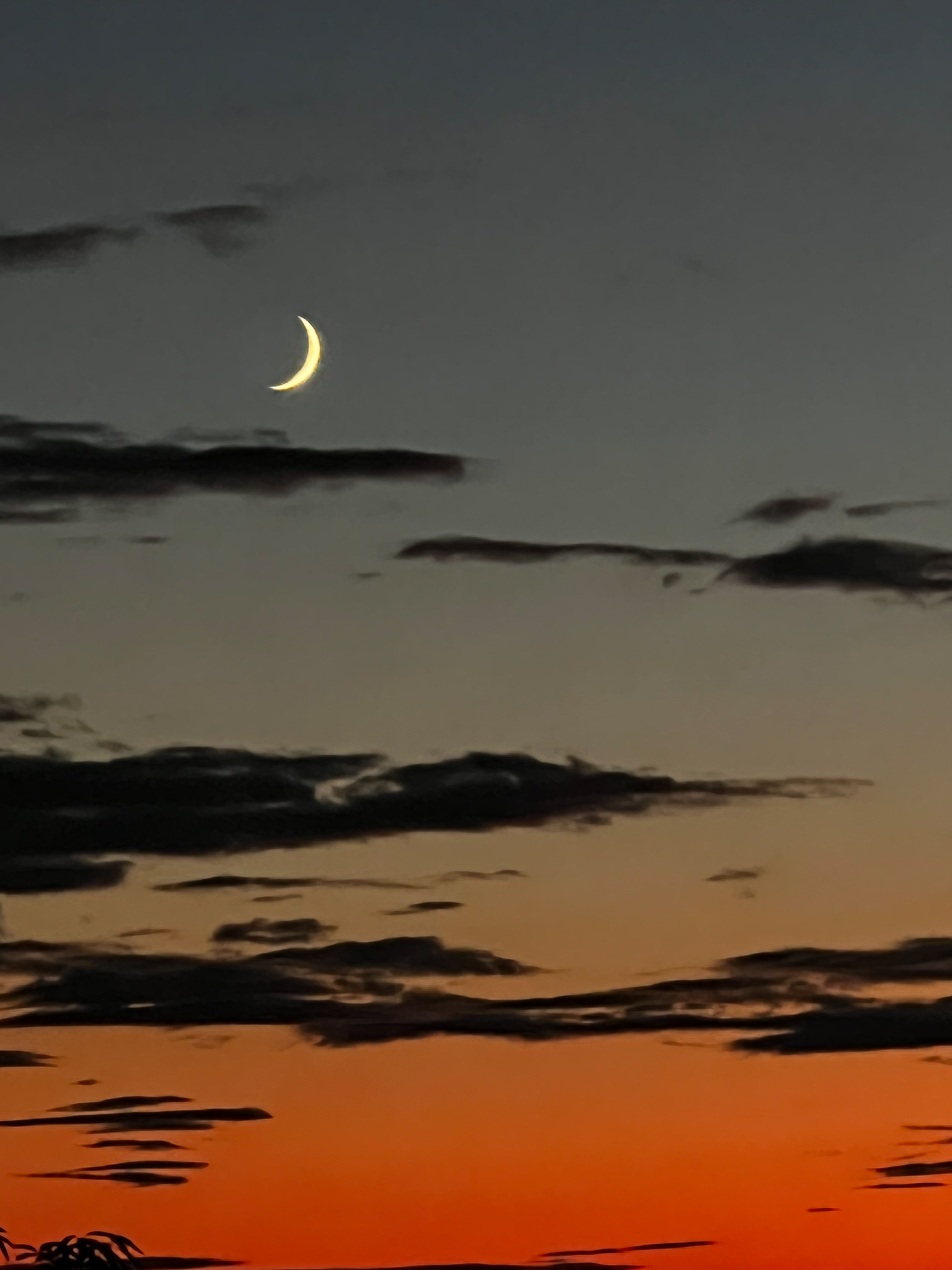 crescent moon with dark gray etched clouds over a deep orange sunset