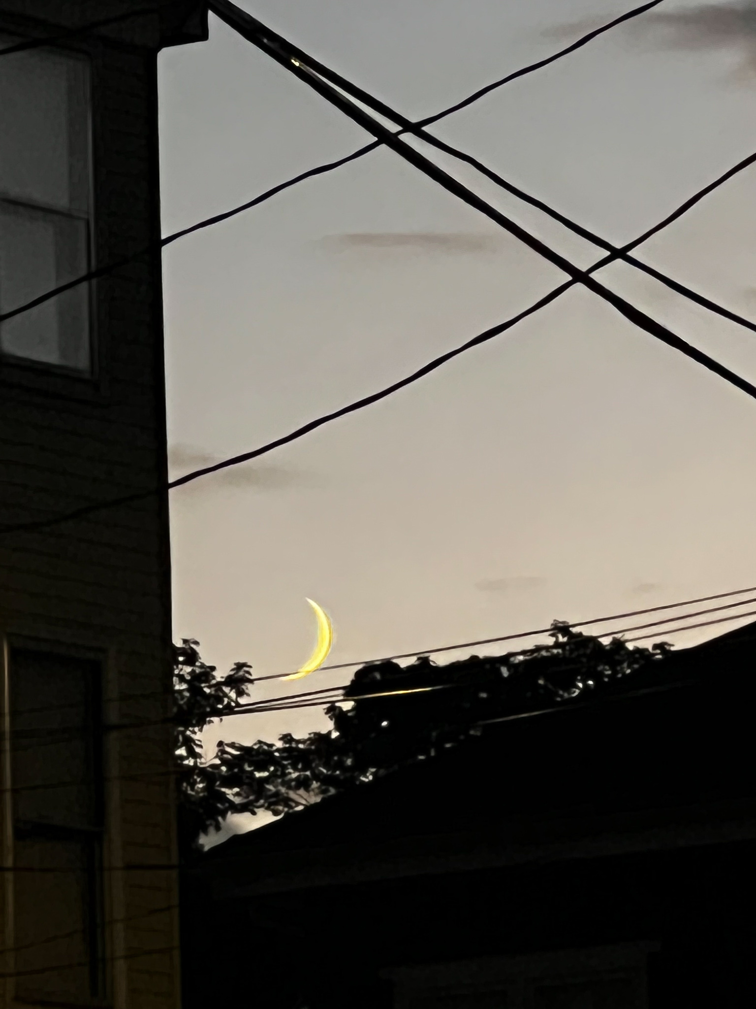 crescent moon just over the horizon of bushes next to a house and in between telephone wires
